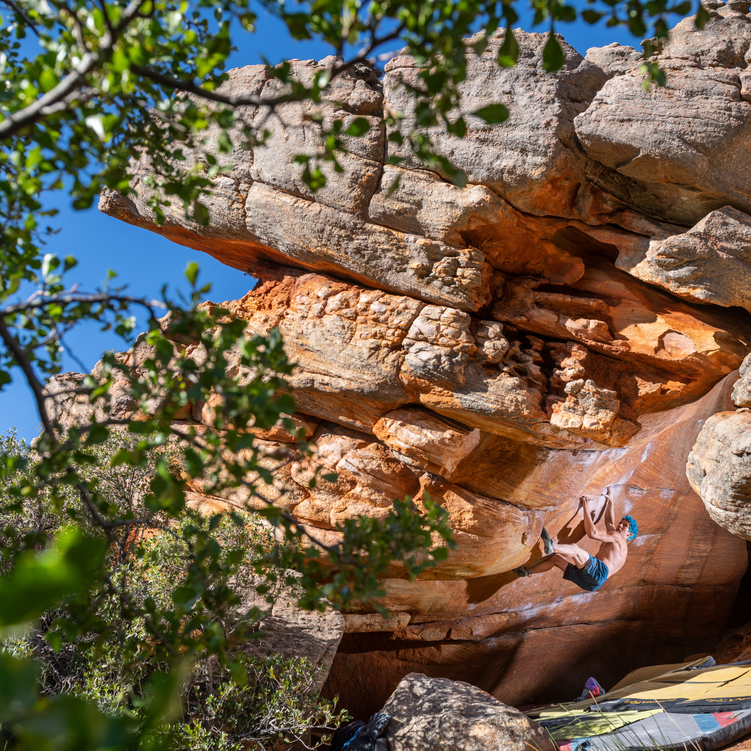 SOUTH AFRICA. ROCKLANDS