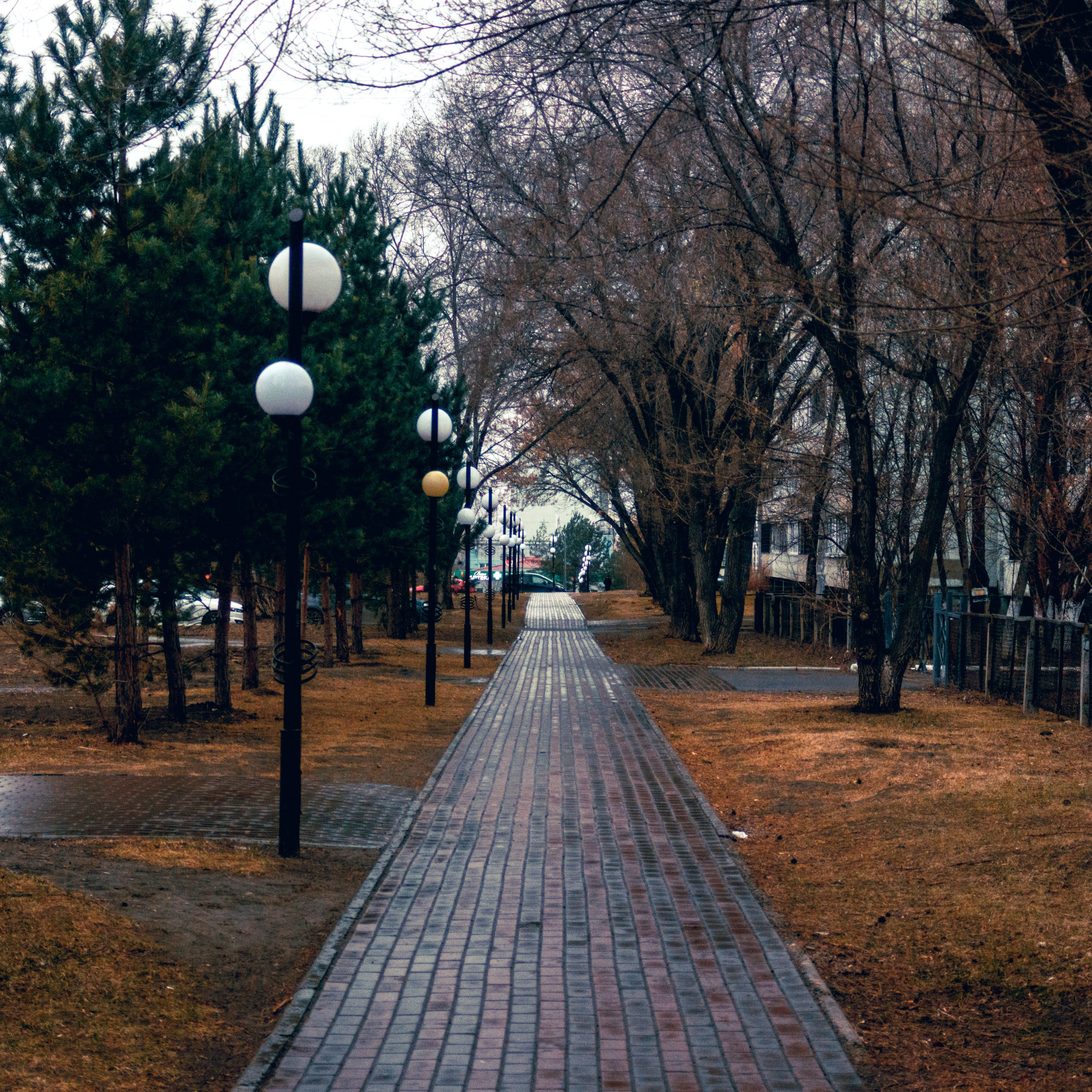 06.04.2025 | Сосновоборск