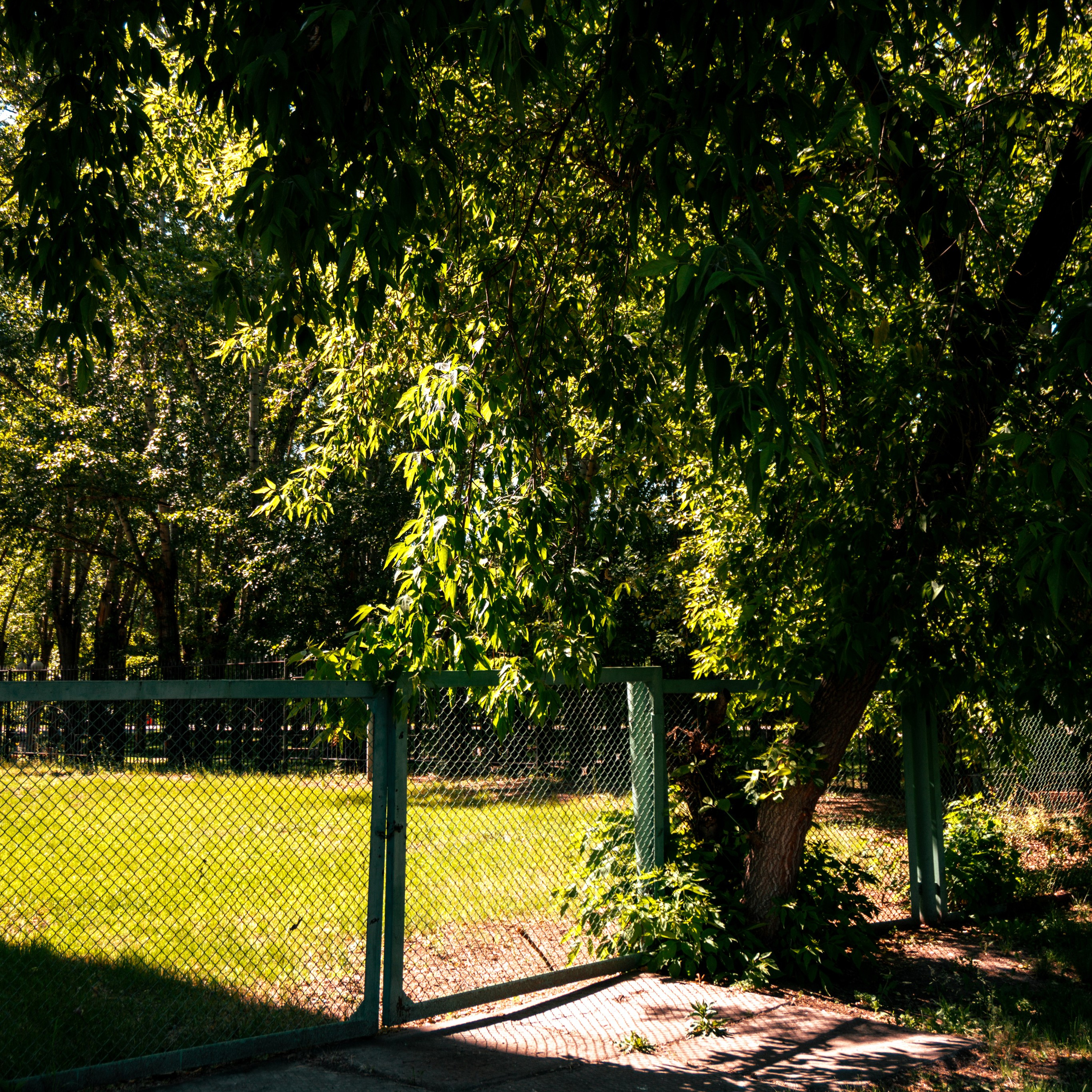 05.06.2025 | Красноярск