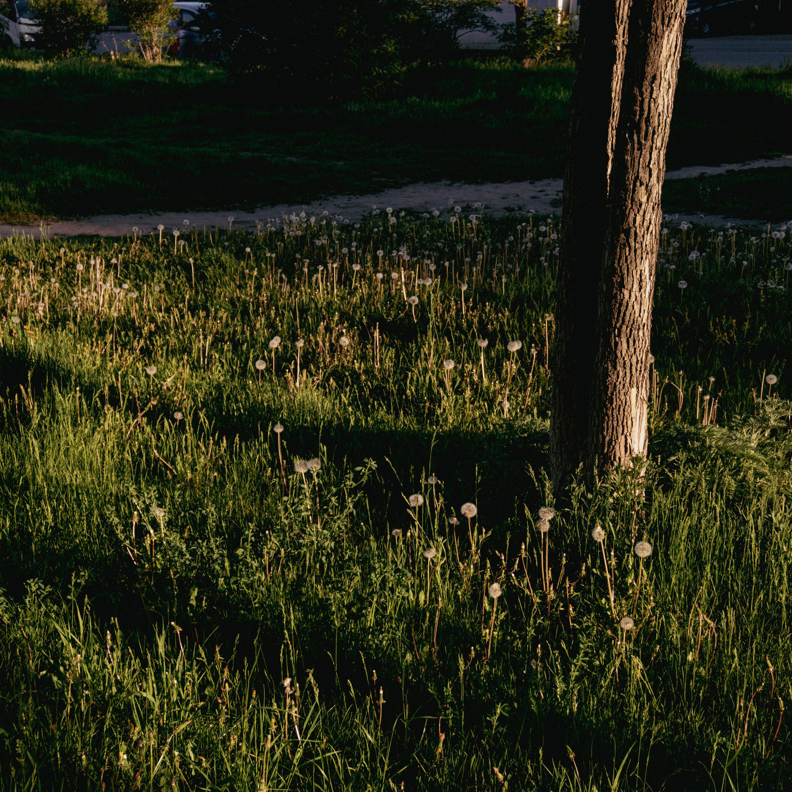 04.06.2025 | Сосновоборск