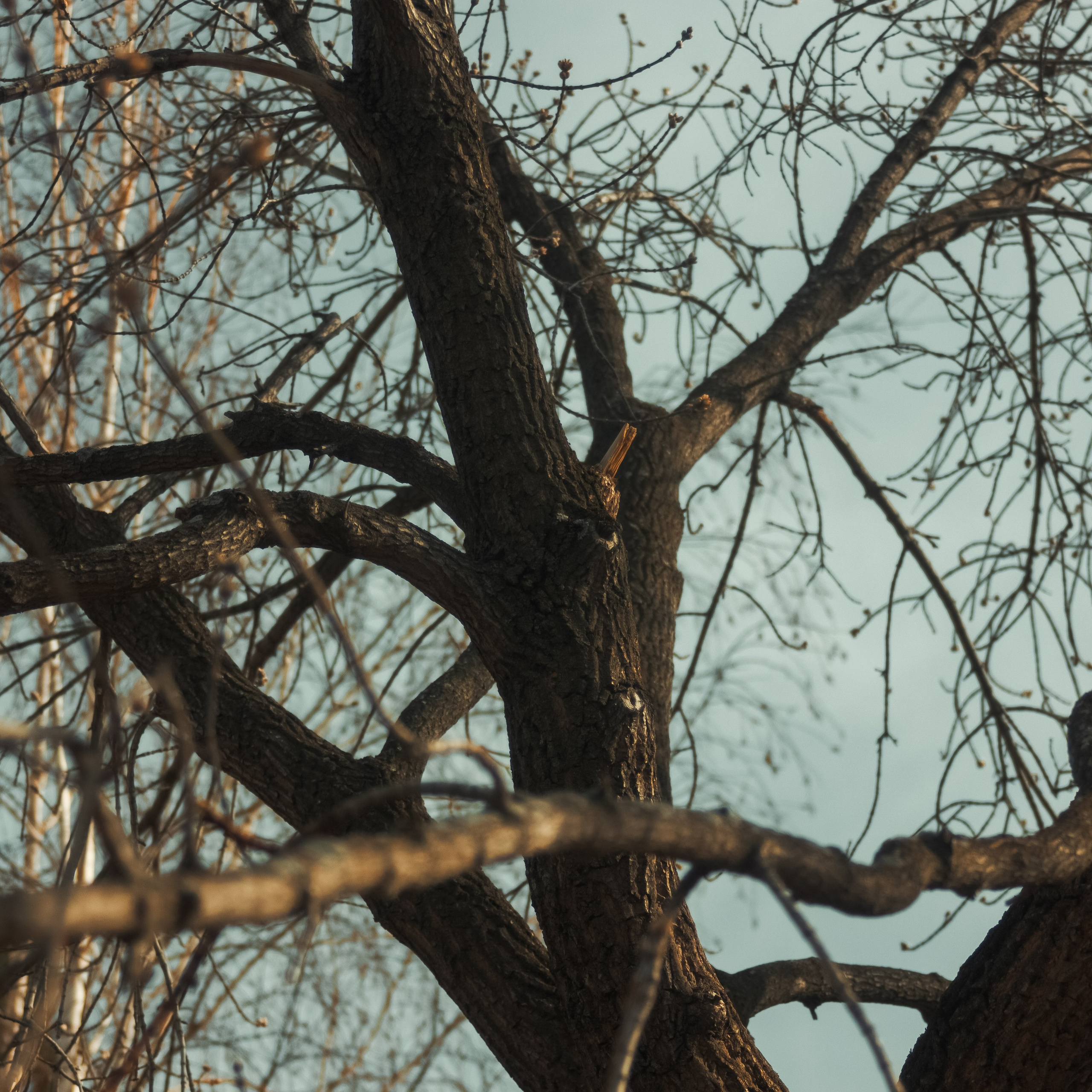 12.04.2025 | Сосновоборск