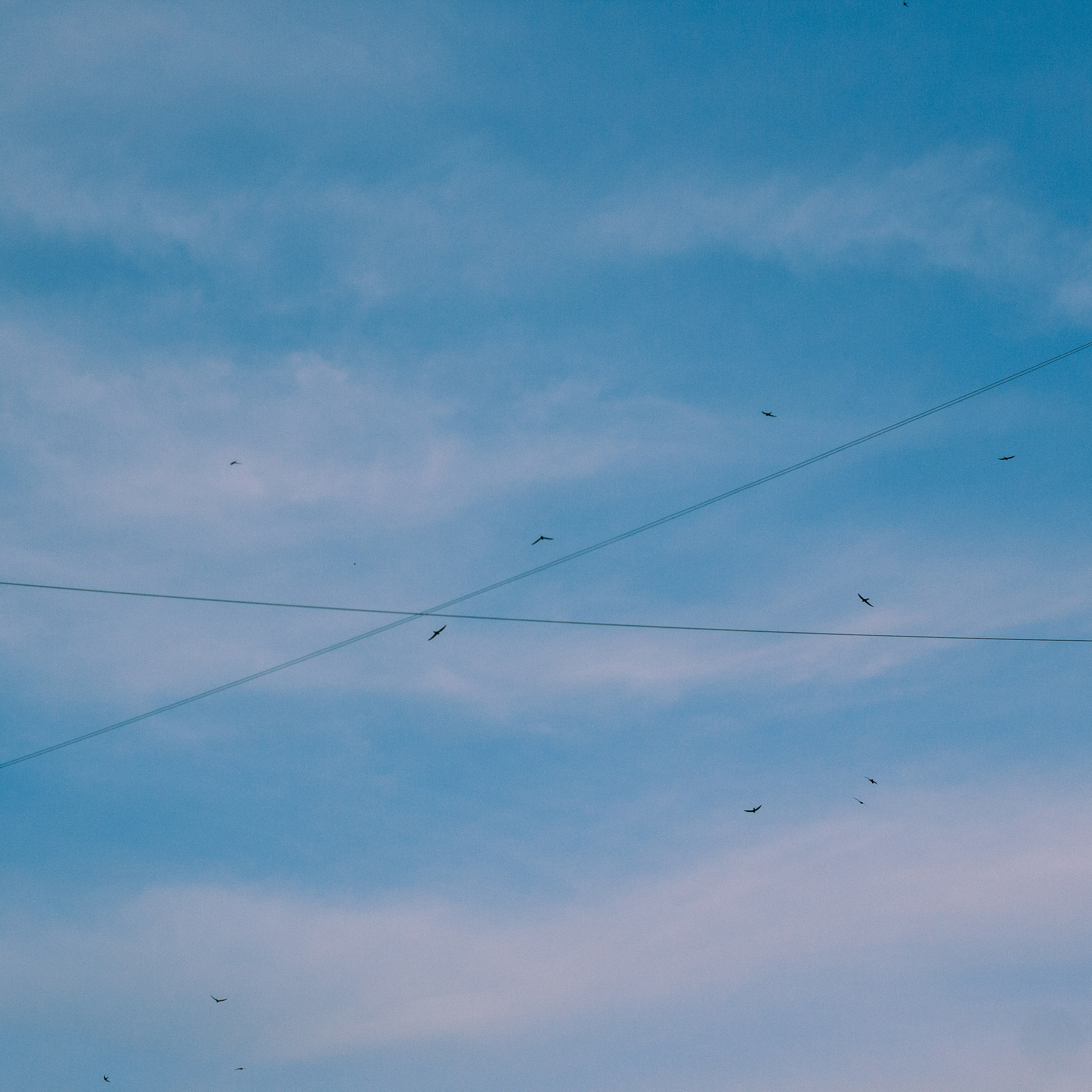 27.07.2024 | Красноярск