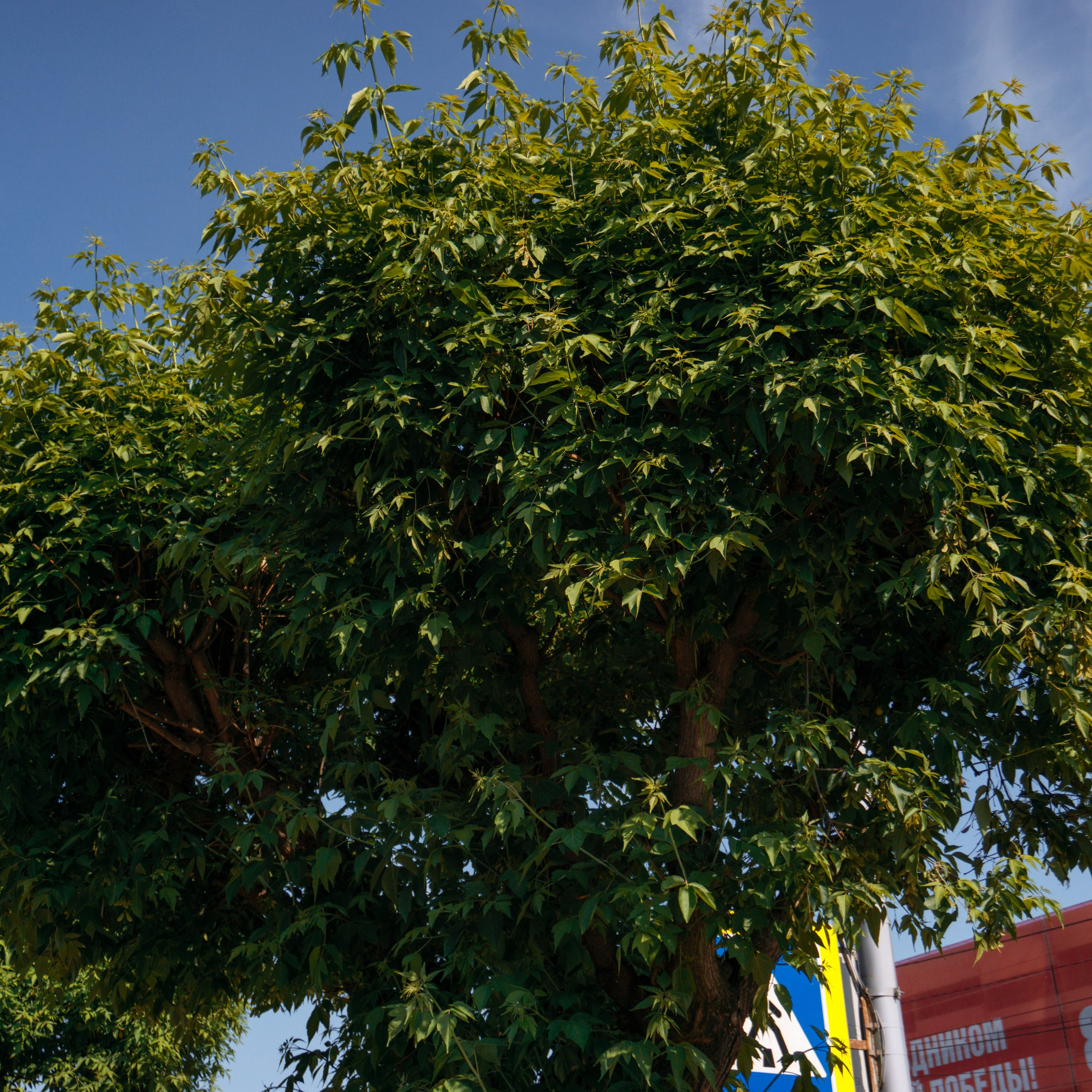 03.06.2025 | Красноярск