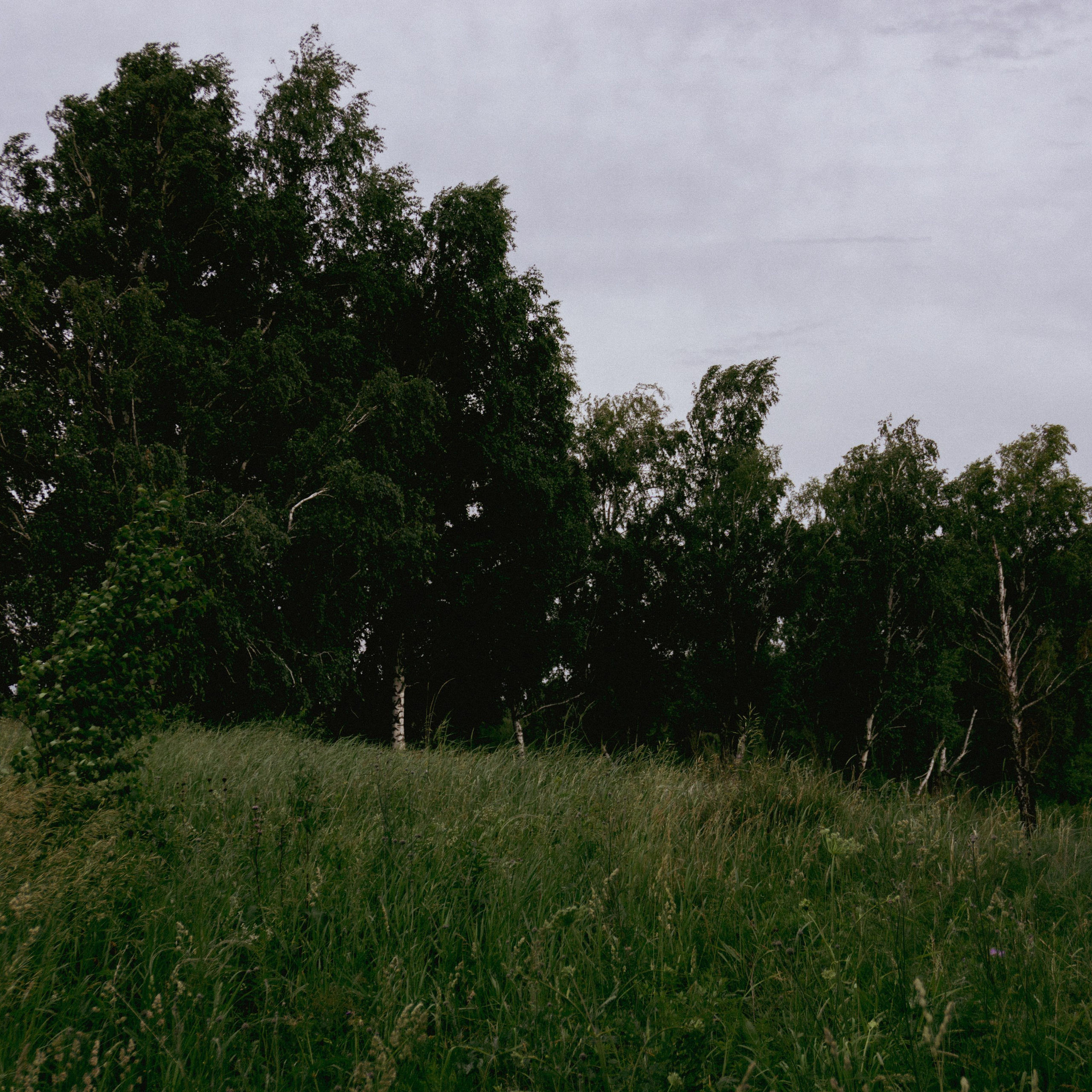 29.06.2025 | Сосновоборск