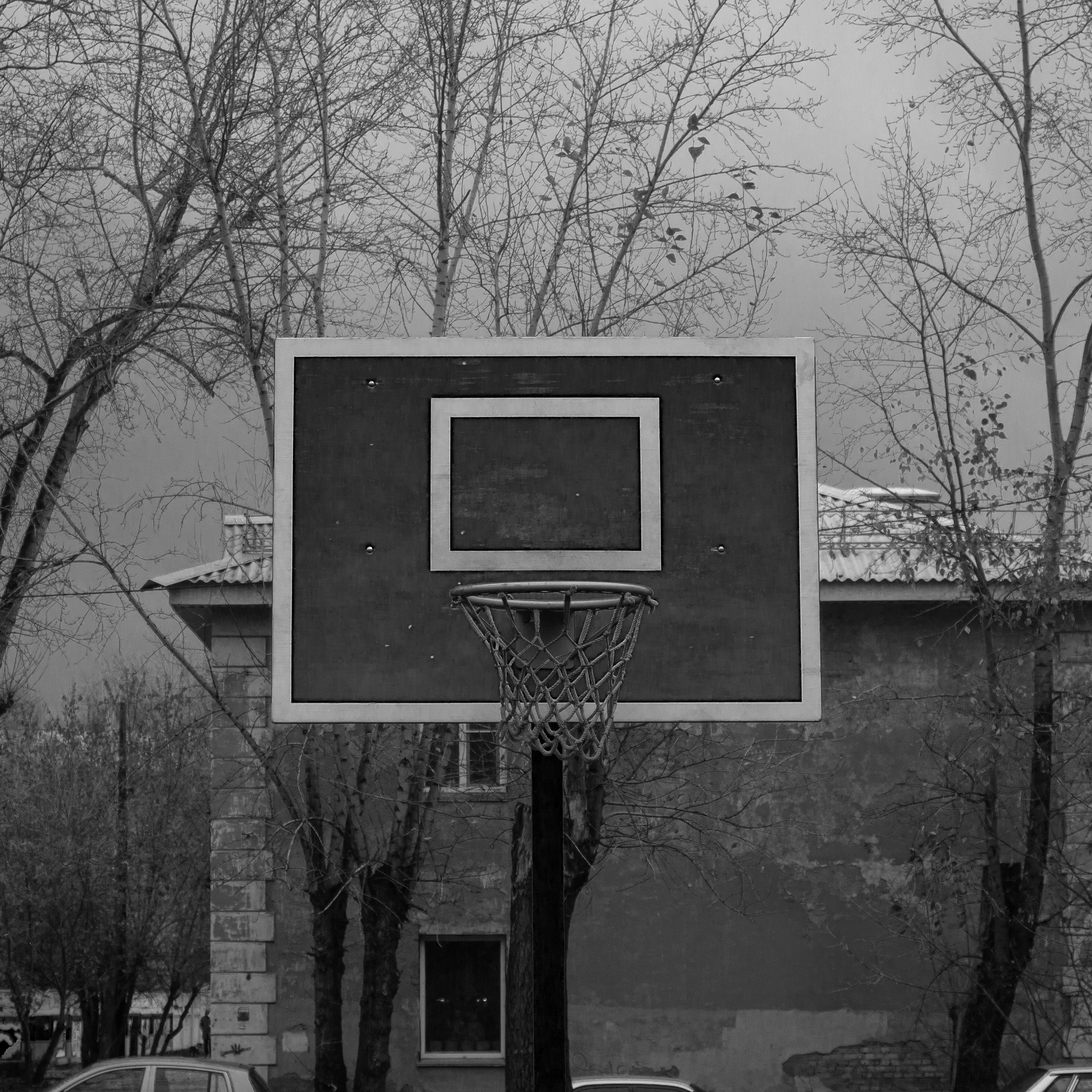 23.10.2023 | Красноярск