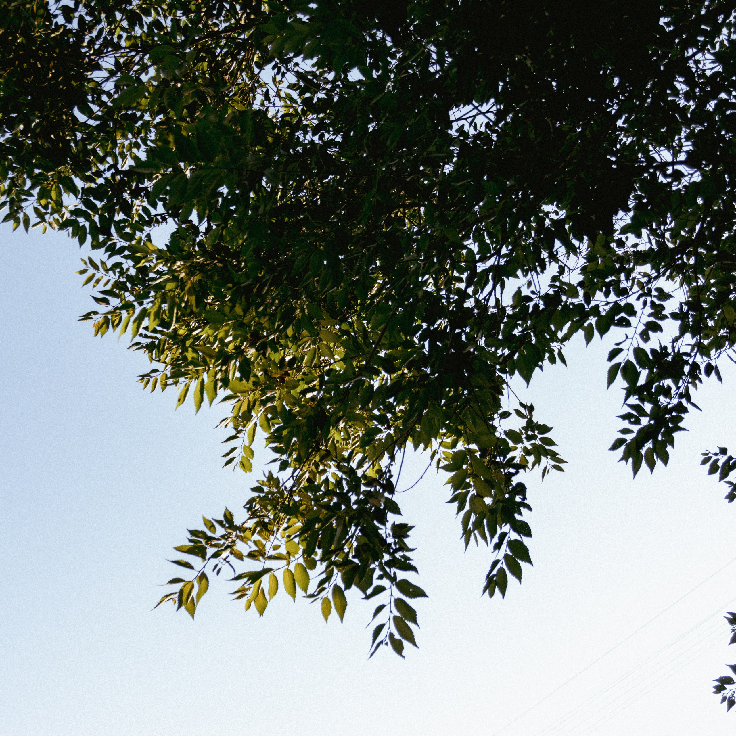 06.07.2025 | Сосновоборск