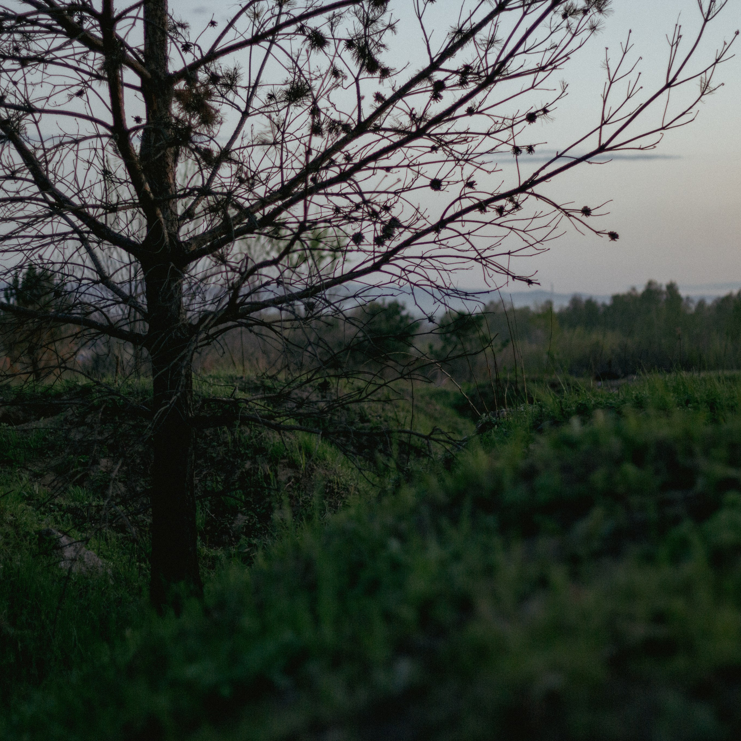 15.05.2025 | Сосновоборск