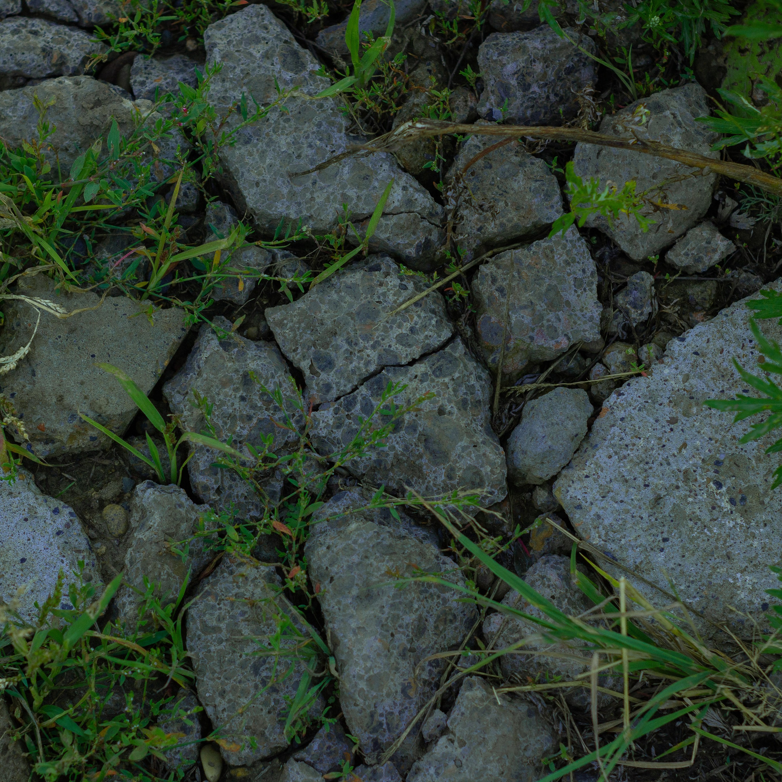 02.08.2024 | Сосновоборск