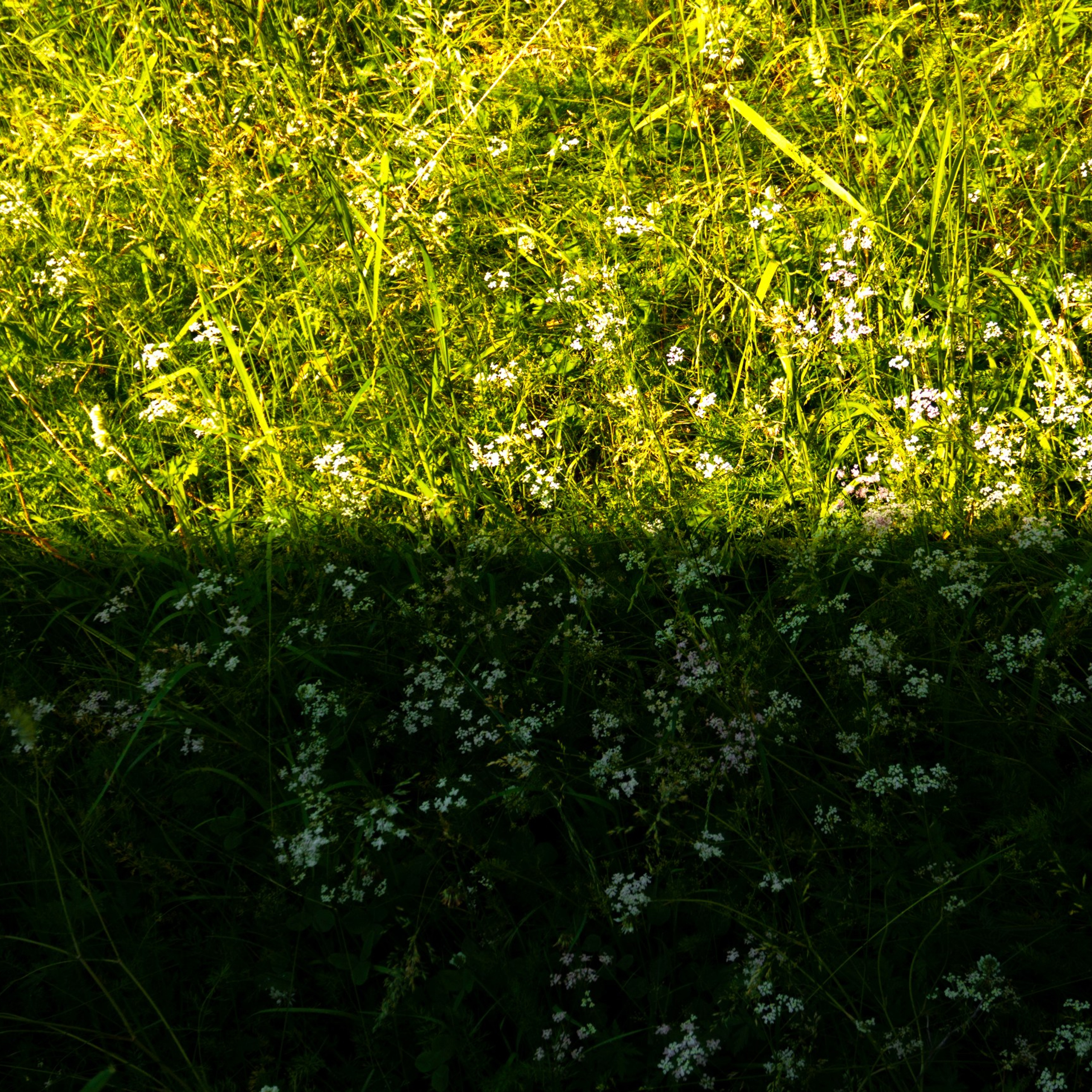 25.06.2025 | Сосновоборск