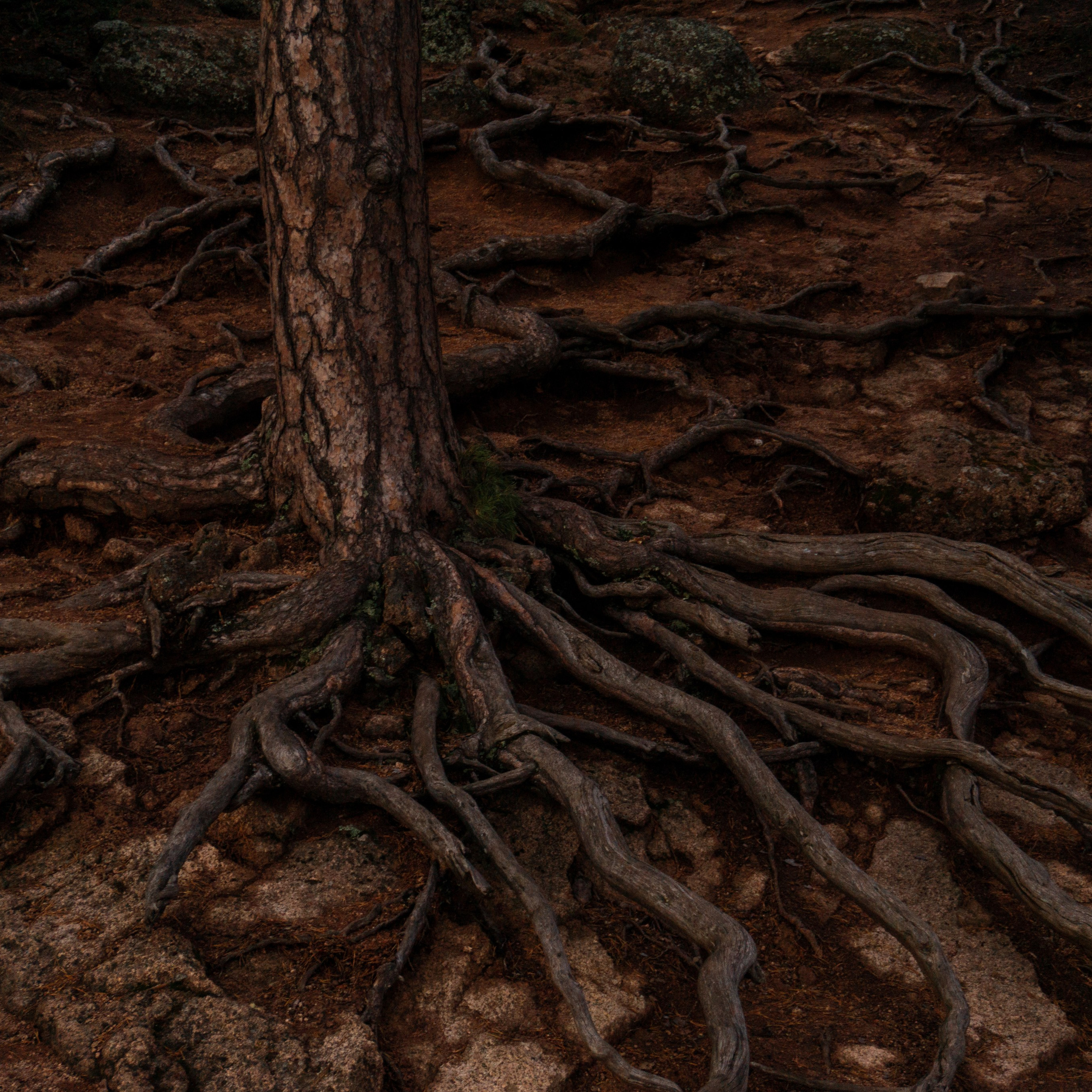 28.08.2025 | Красноярск