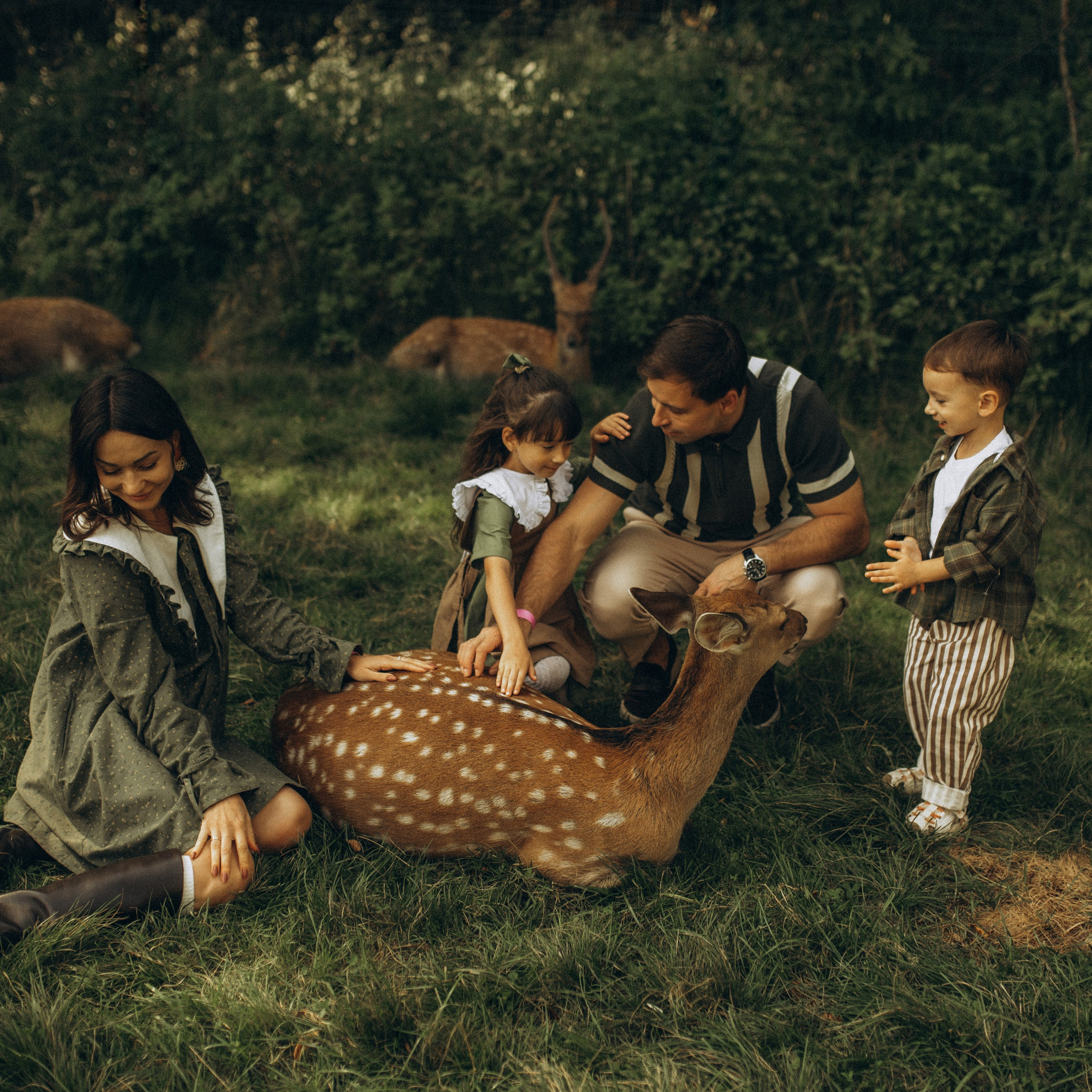 Прогулка к оленям