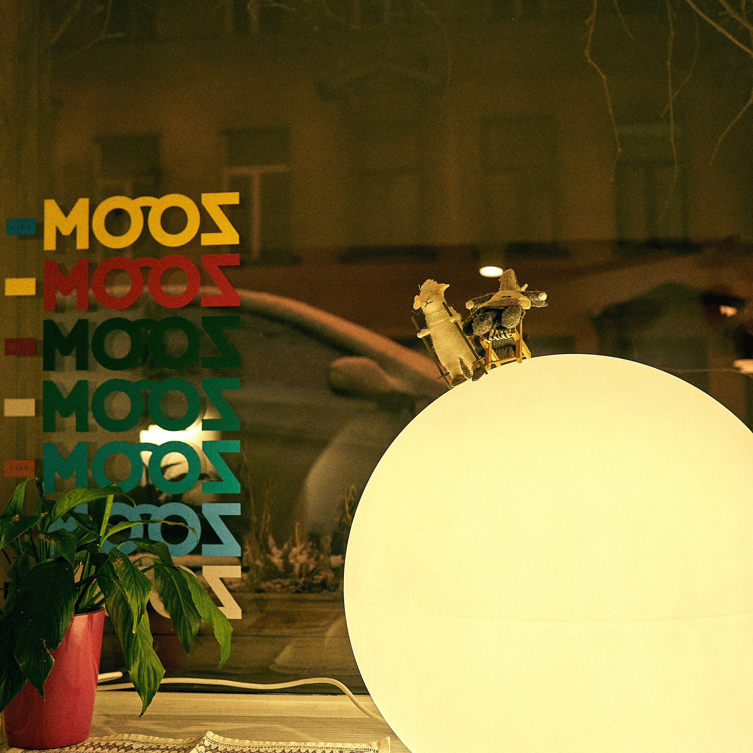 интерьерная съемка в кафе репортажный фотограф Гранкин Александр Санкт-Петербург   