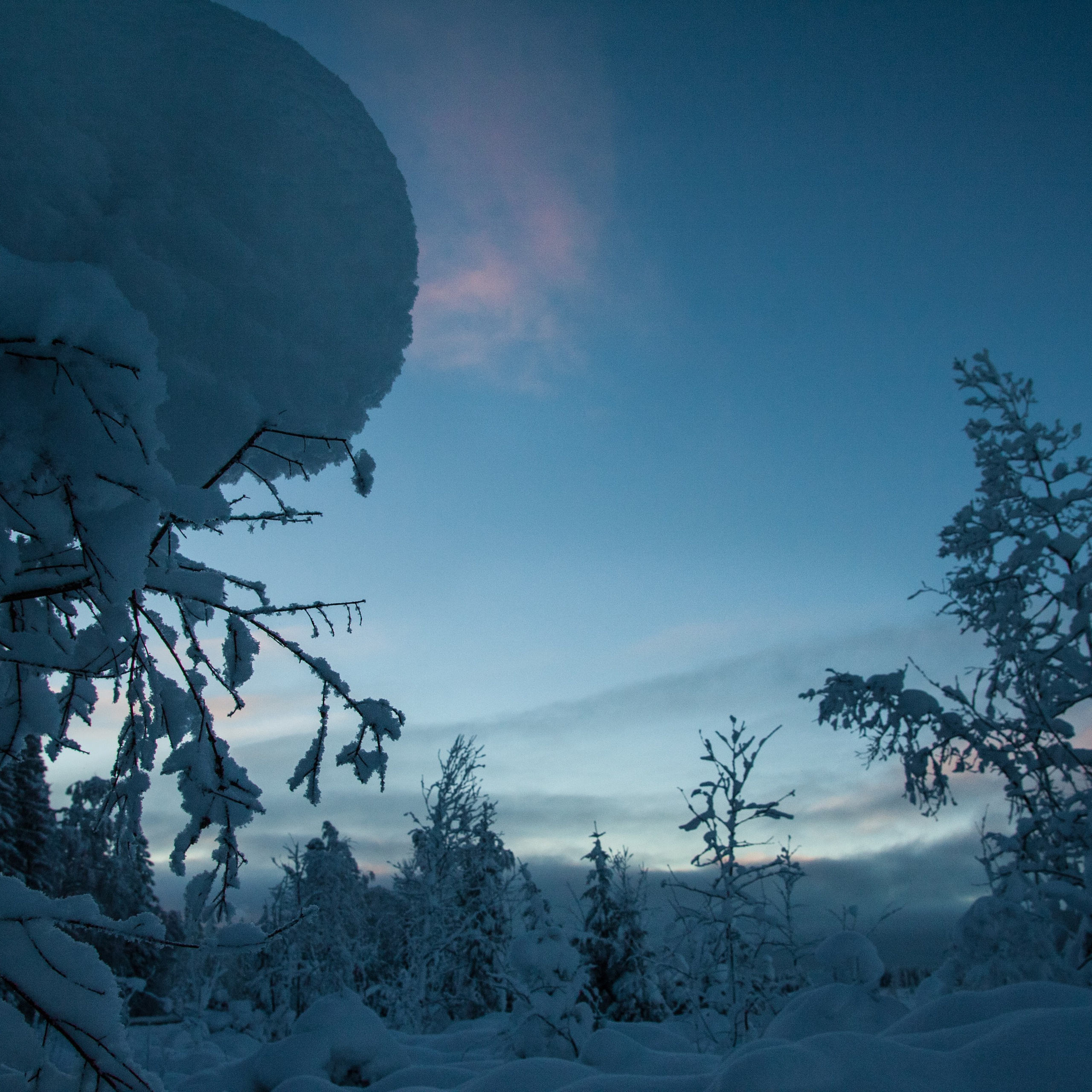 Мои творческие фотоработы. Портретный Фотограф СПБ Гранкин Александр