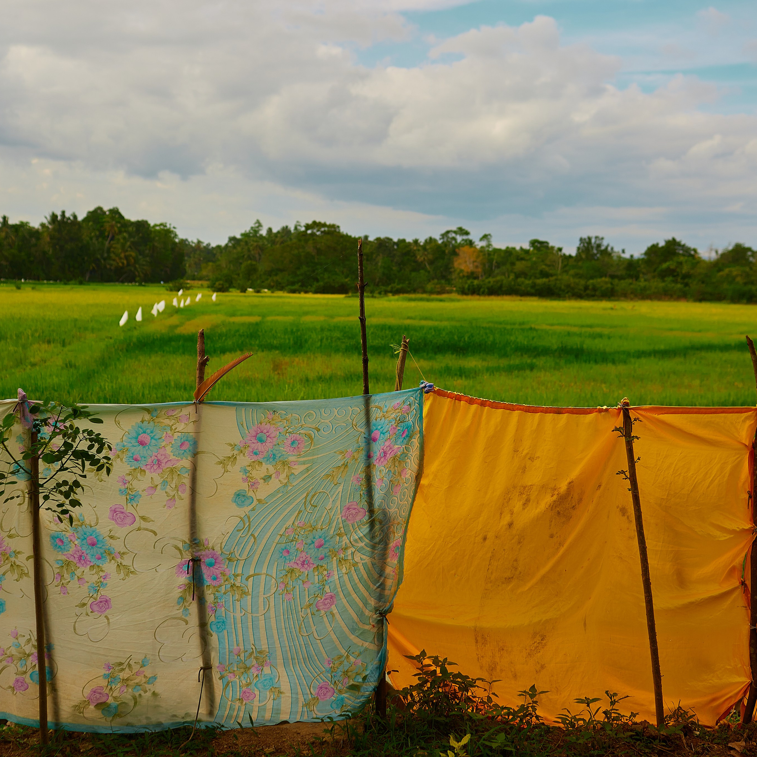 Мои творческие фотоработы. Портретный Фотограф СПБ Гранкин Александр