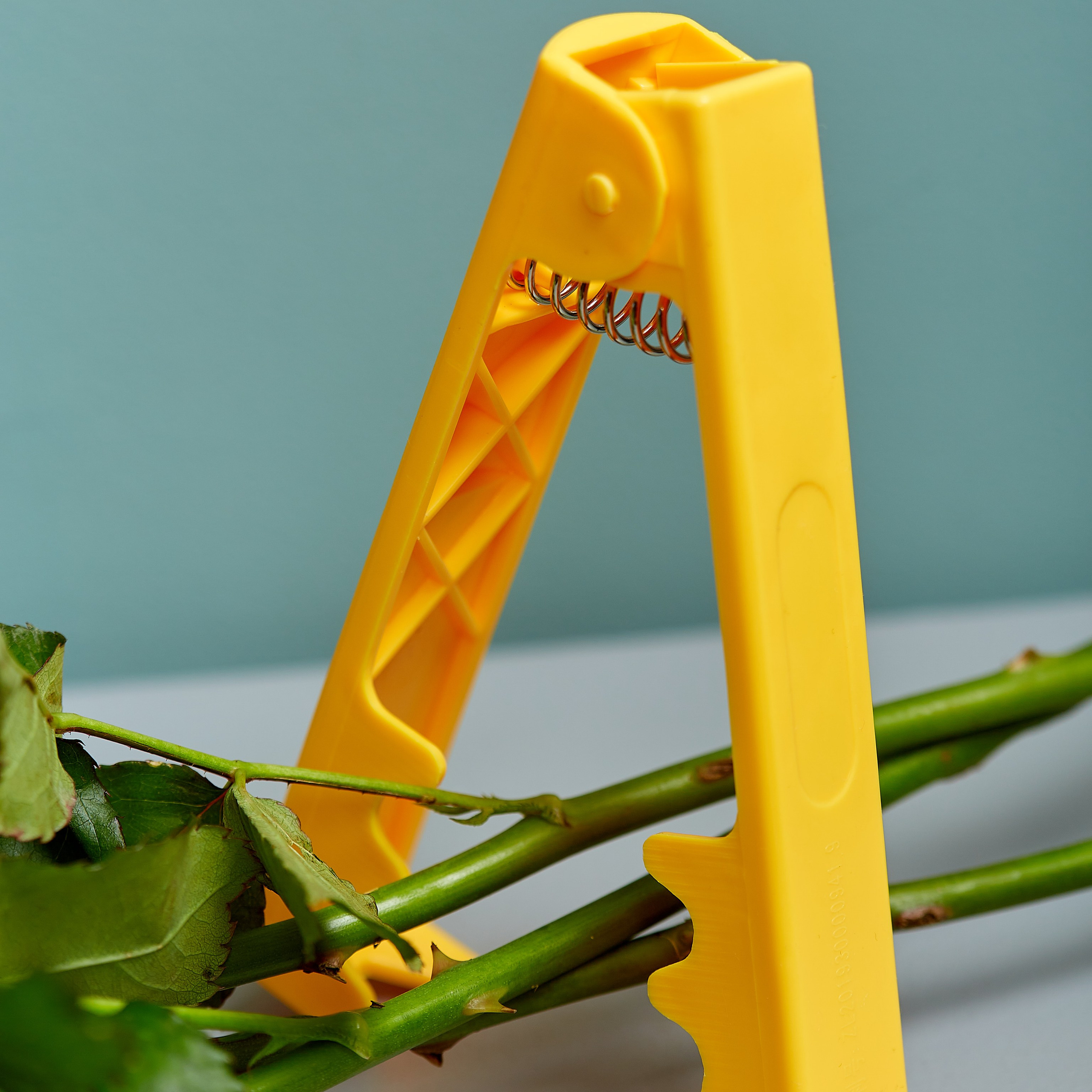 Съемка для маркетплейса предметная съемка секатор для цветов 