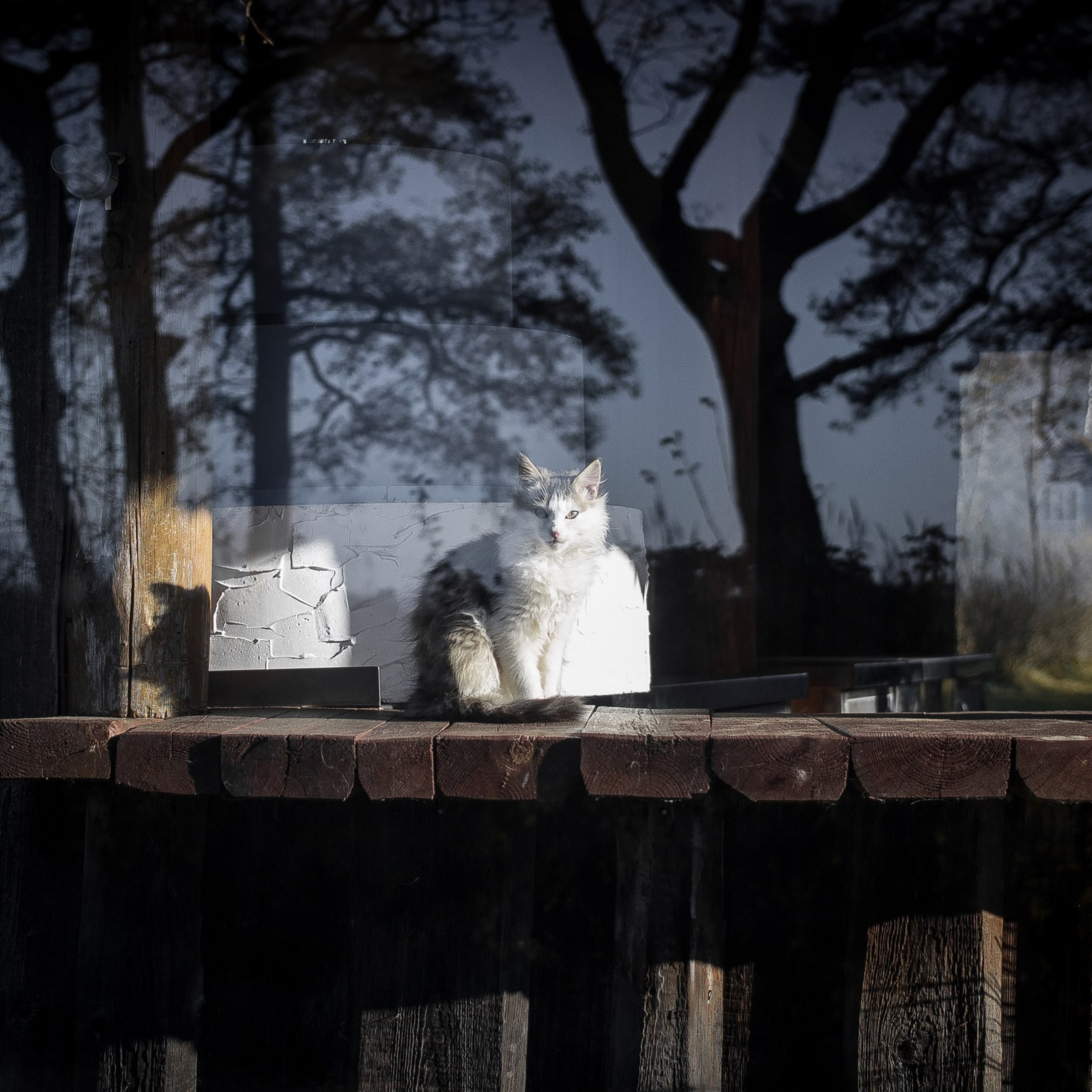 Мои творческие фотоработы. Портретный Фотограф СПБ Гранкин Александр