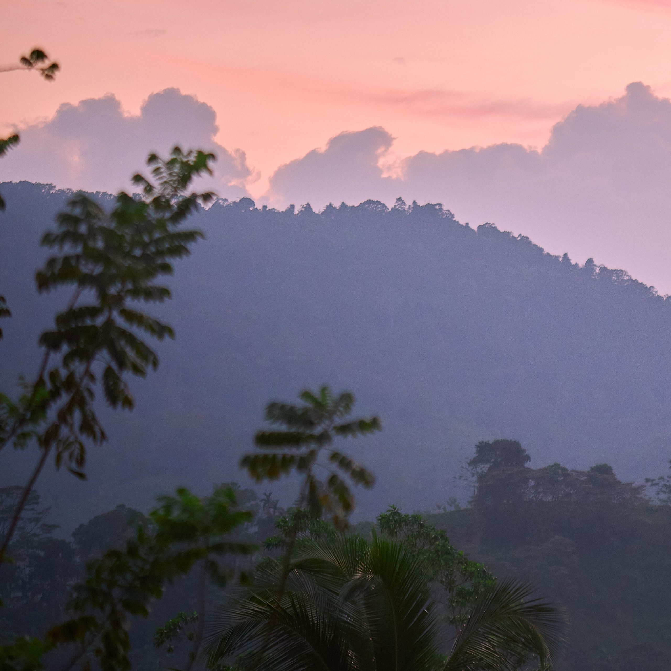 Мои творческие фотоработы. Портретный Фотограф СПБ Гранкин Александр