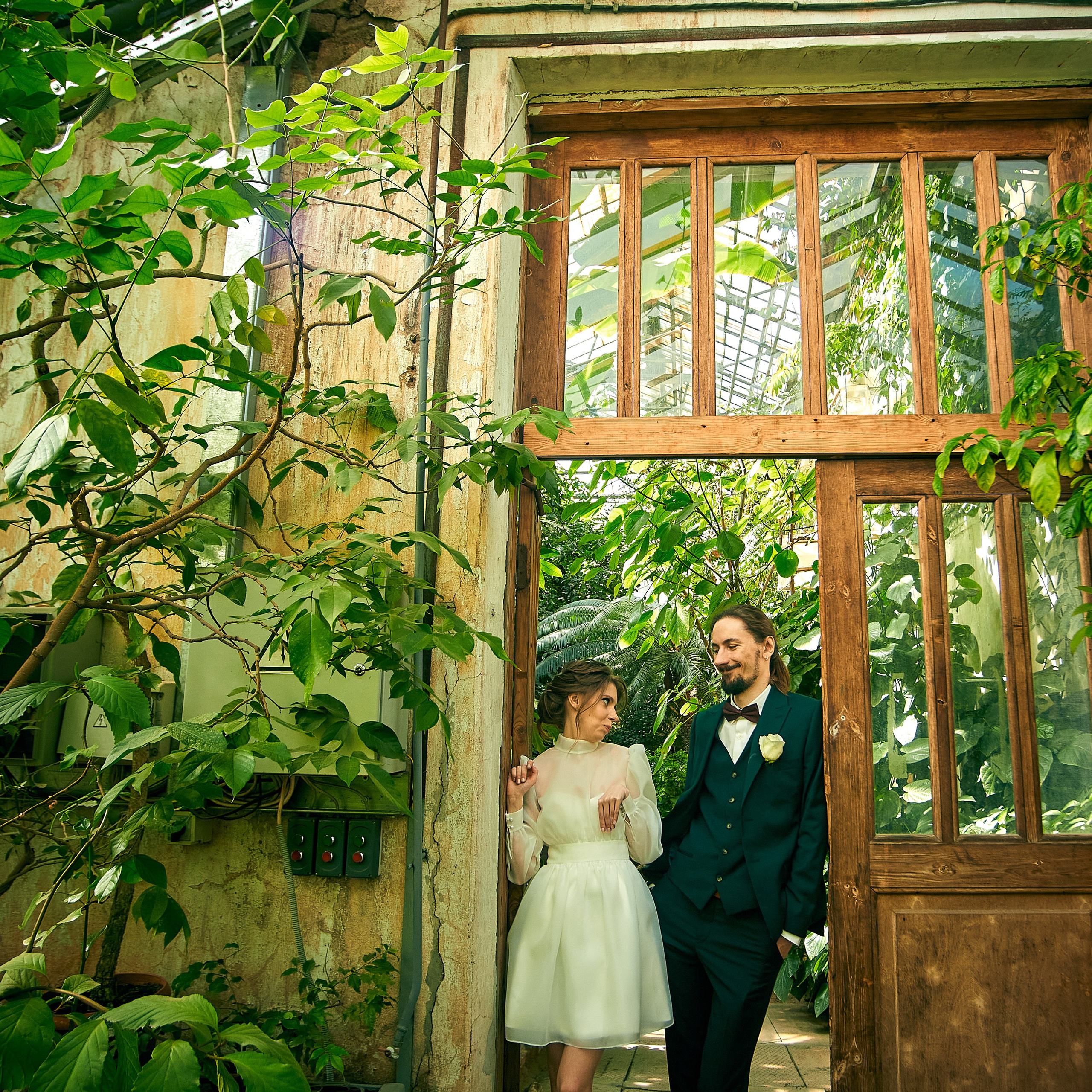 жених и невеста в оранжерее ботанического сада свадебный фотограф Гранкин Александр Санкт-Петербург  