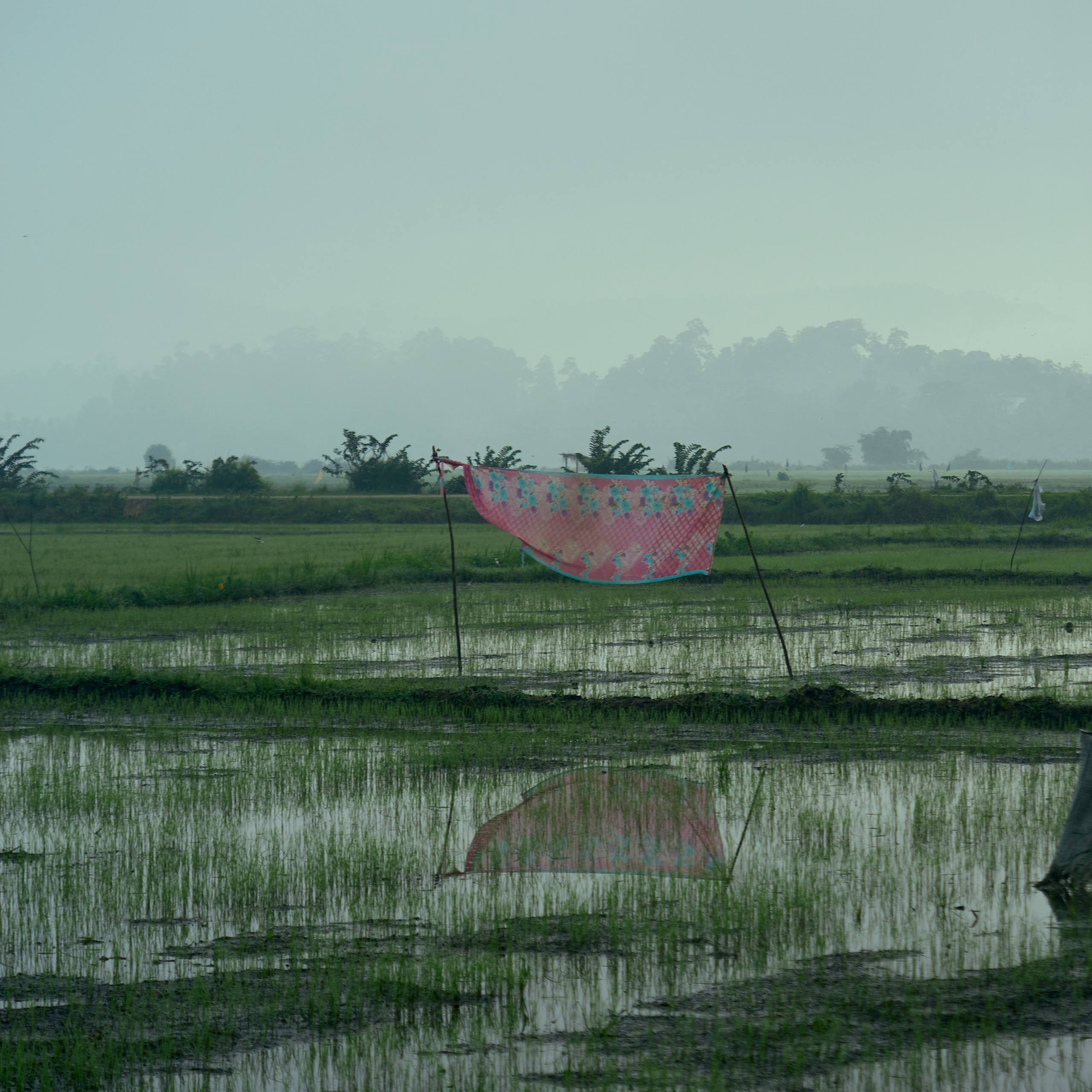 Мои творческие фотоработы. Портретный Фотограф СПБ Гранкин Александр