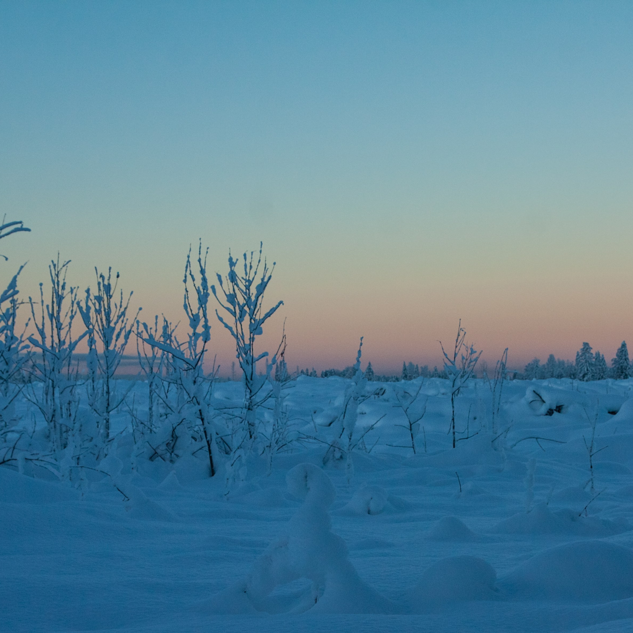 Мои творческие фотоработы. Портретный Фотограф СПБ Гранкин Александр