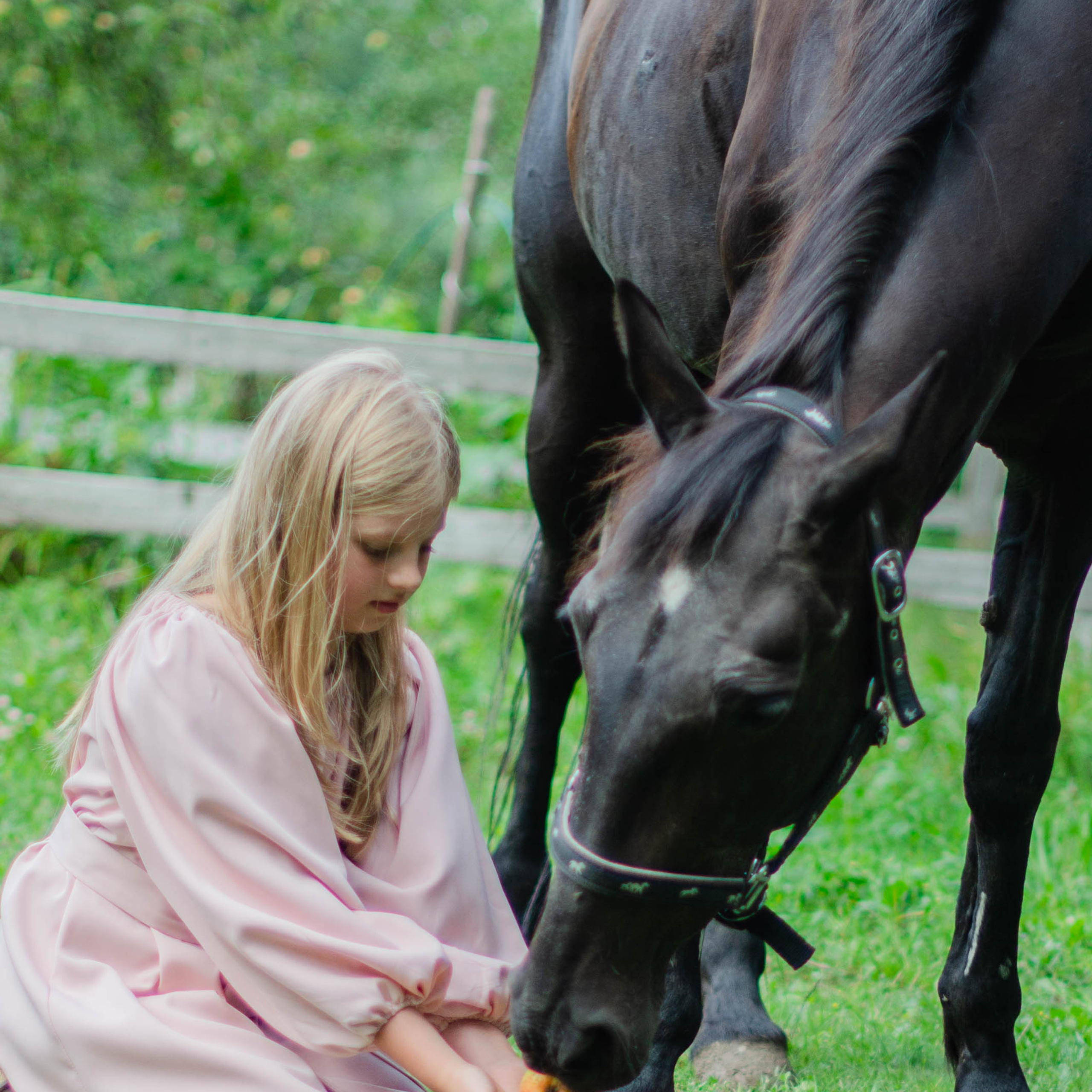 Отзывы. Фотограф в Туле. Воробьева Олеся