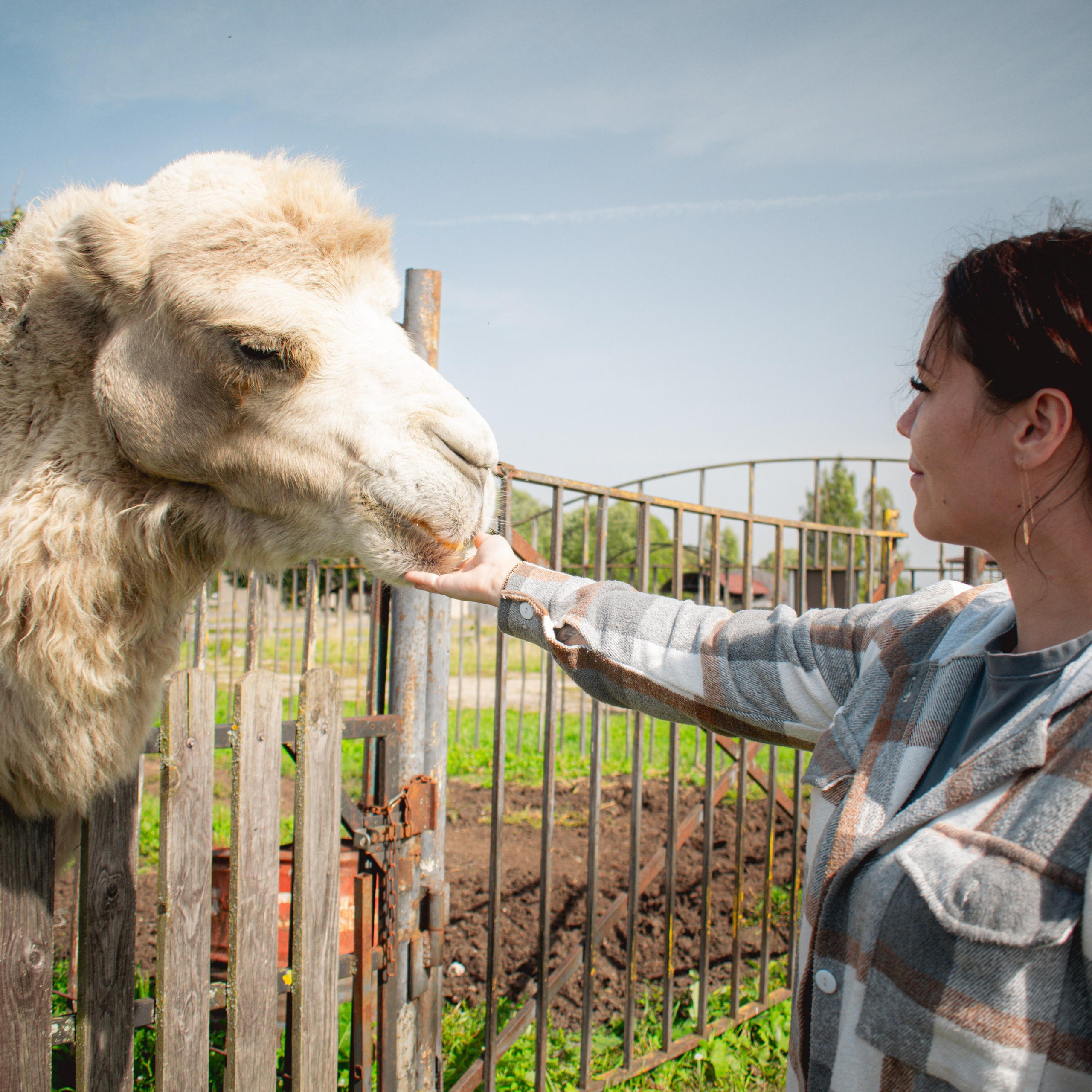 Ферма «Еникеево». Репортажный фотограф Даниил Чеснов | Тверь