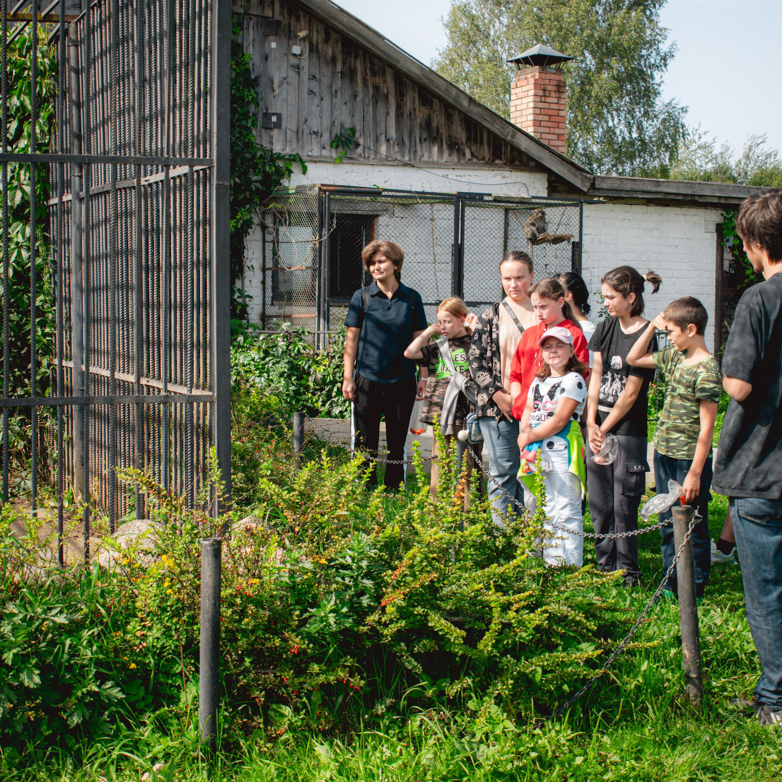 Ферма «Еникеево». Репортажный фотограф Даниил Чеснов | Тверь