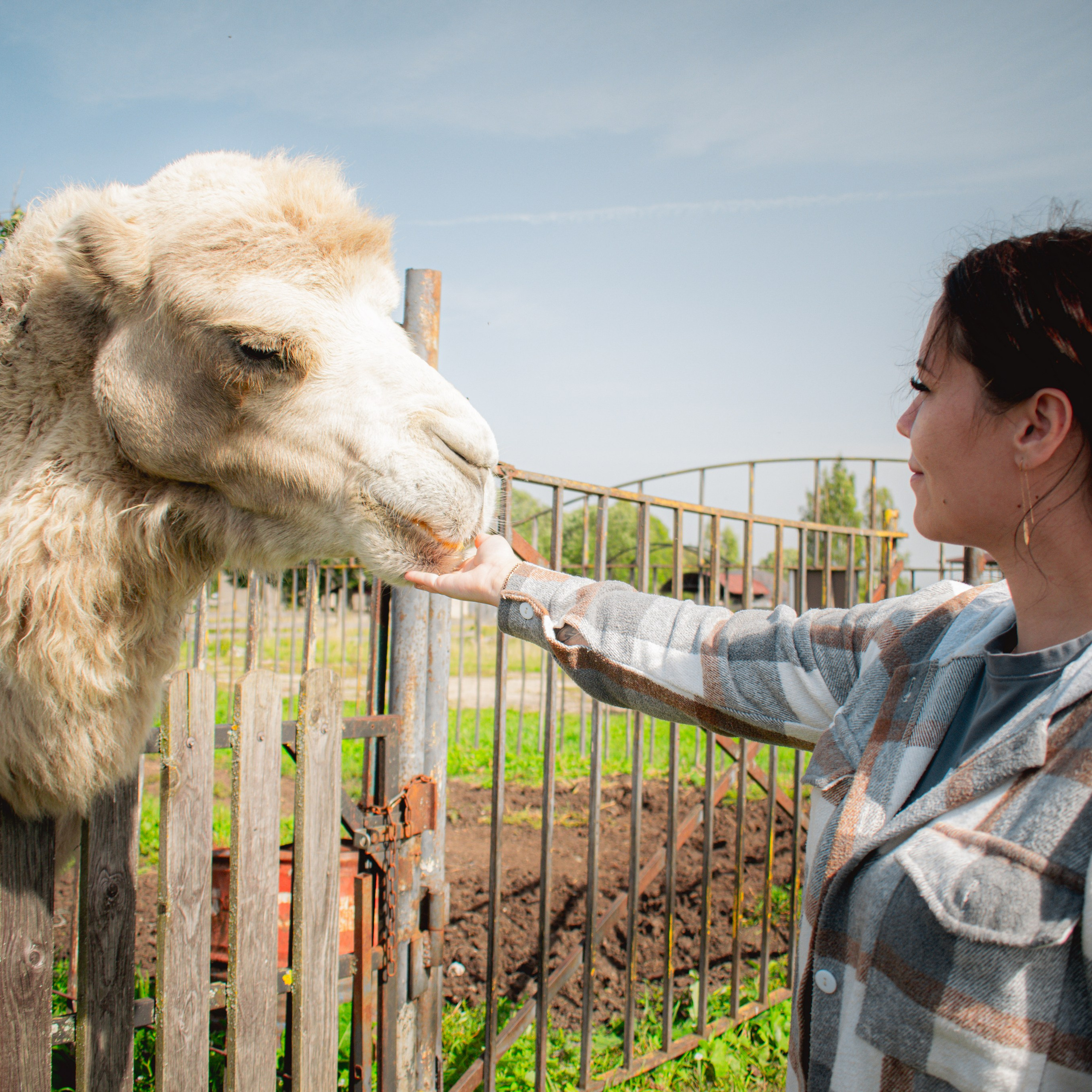 Экскурсия | ферма «Еникеево». Репортажный фотограф Даниил Чеснов | Тверь