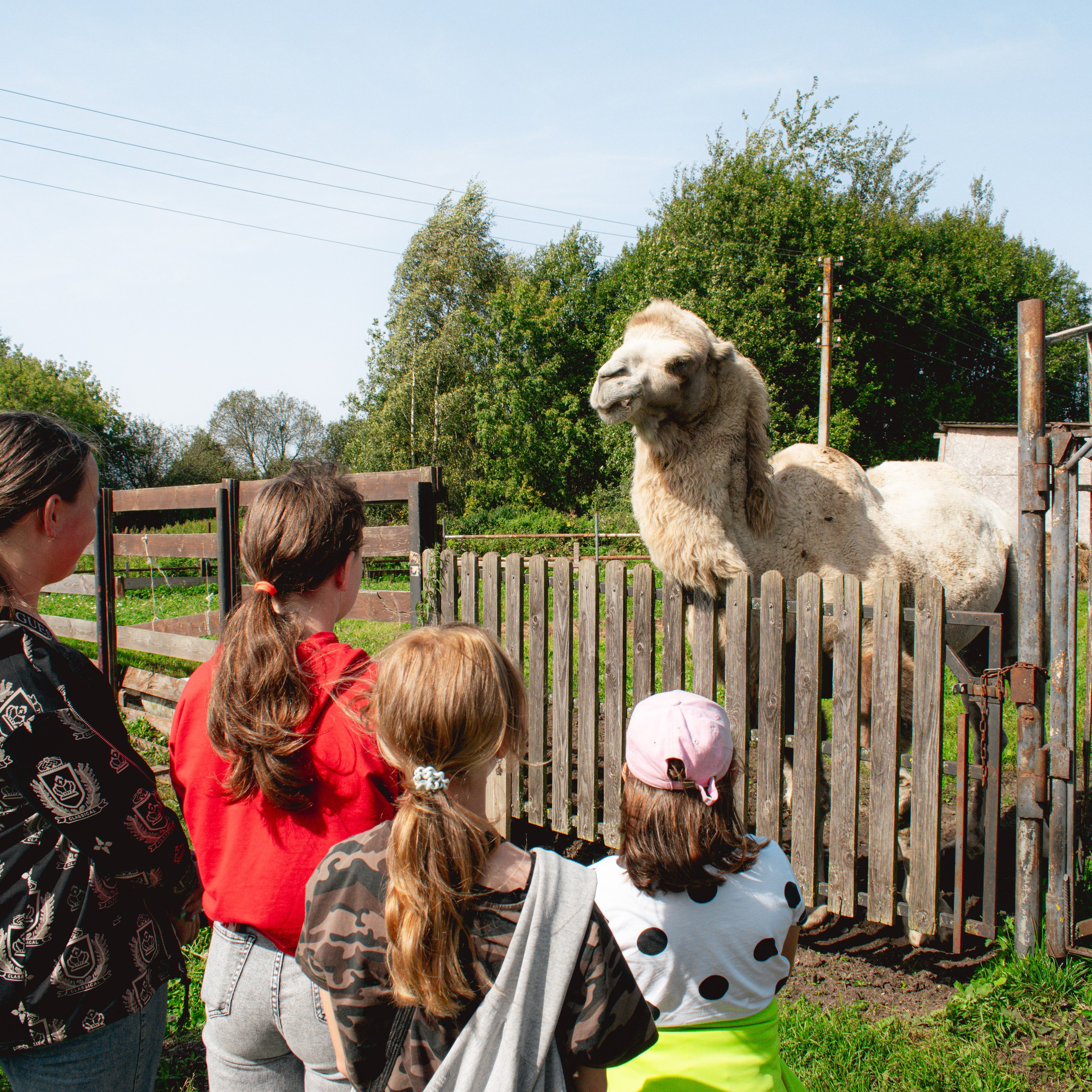 Ферма «Еникеево». Репортажный фотограф Даниил Чеснов | Тверь