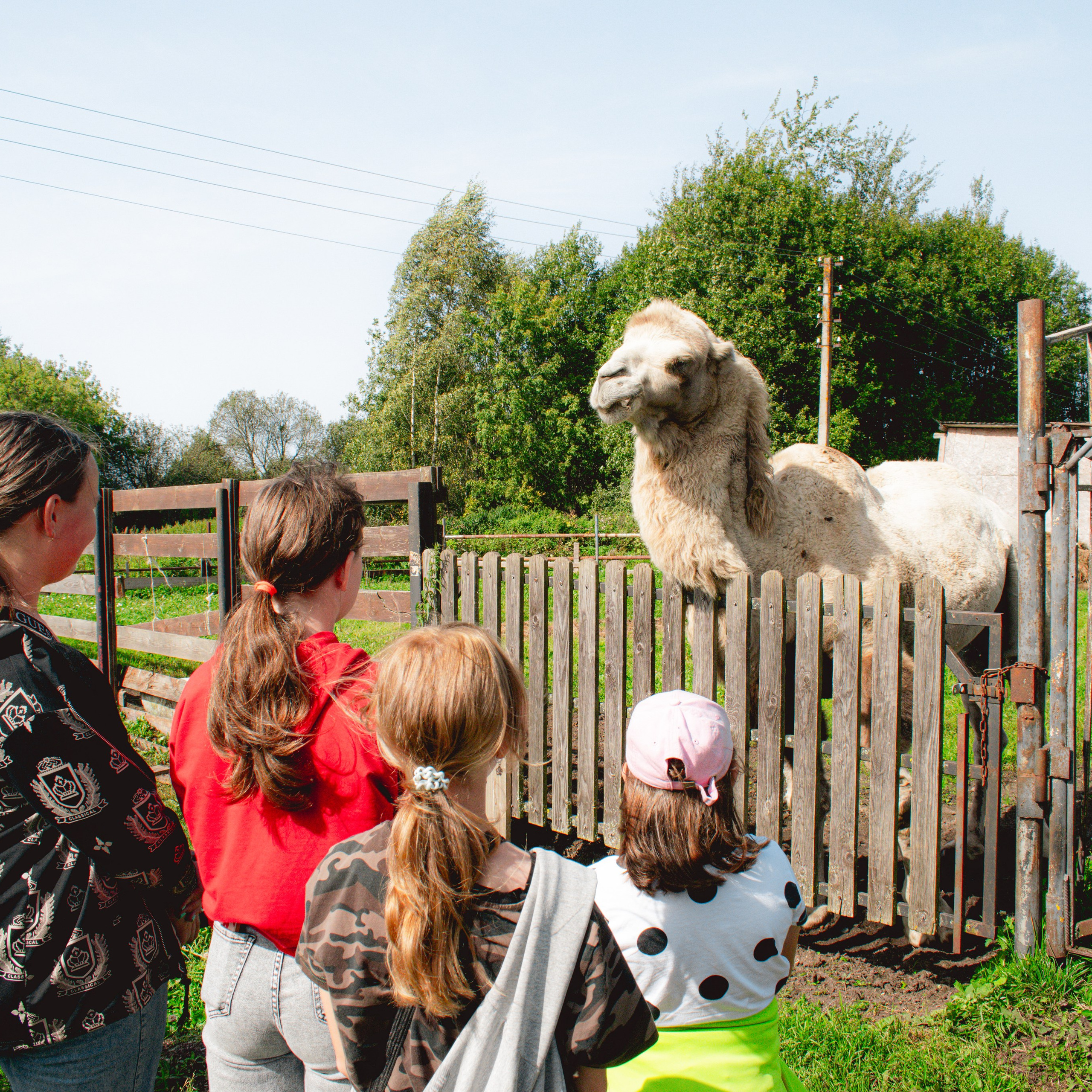 Экскурсия | ферма «Еникеево». Репортажный фотограф Даниил Чеснов | Тверь