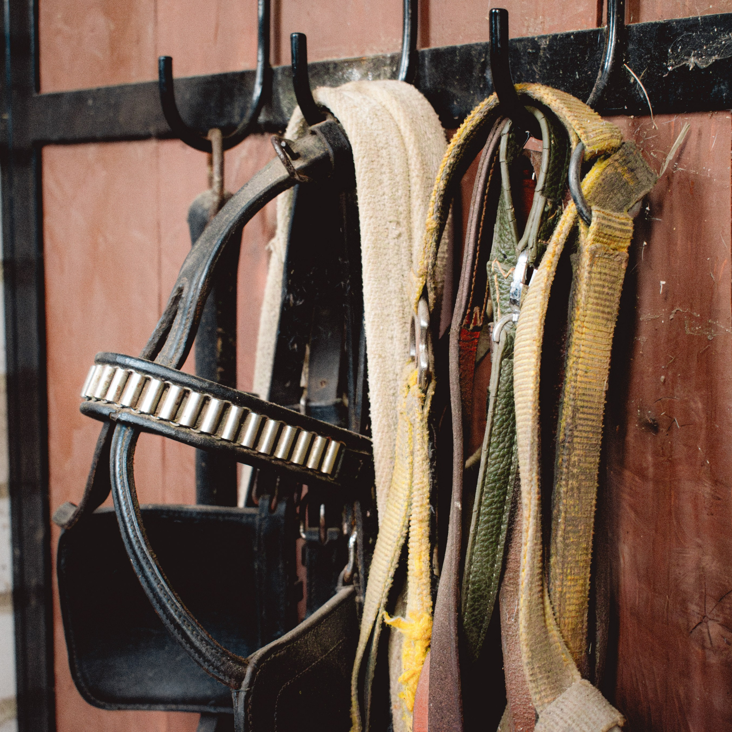 Экскурсия | ферма «Еникеево». Репортажный фотограф Даниил Чеснов | Тверь