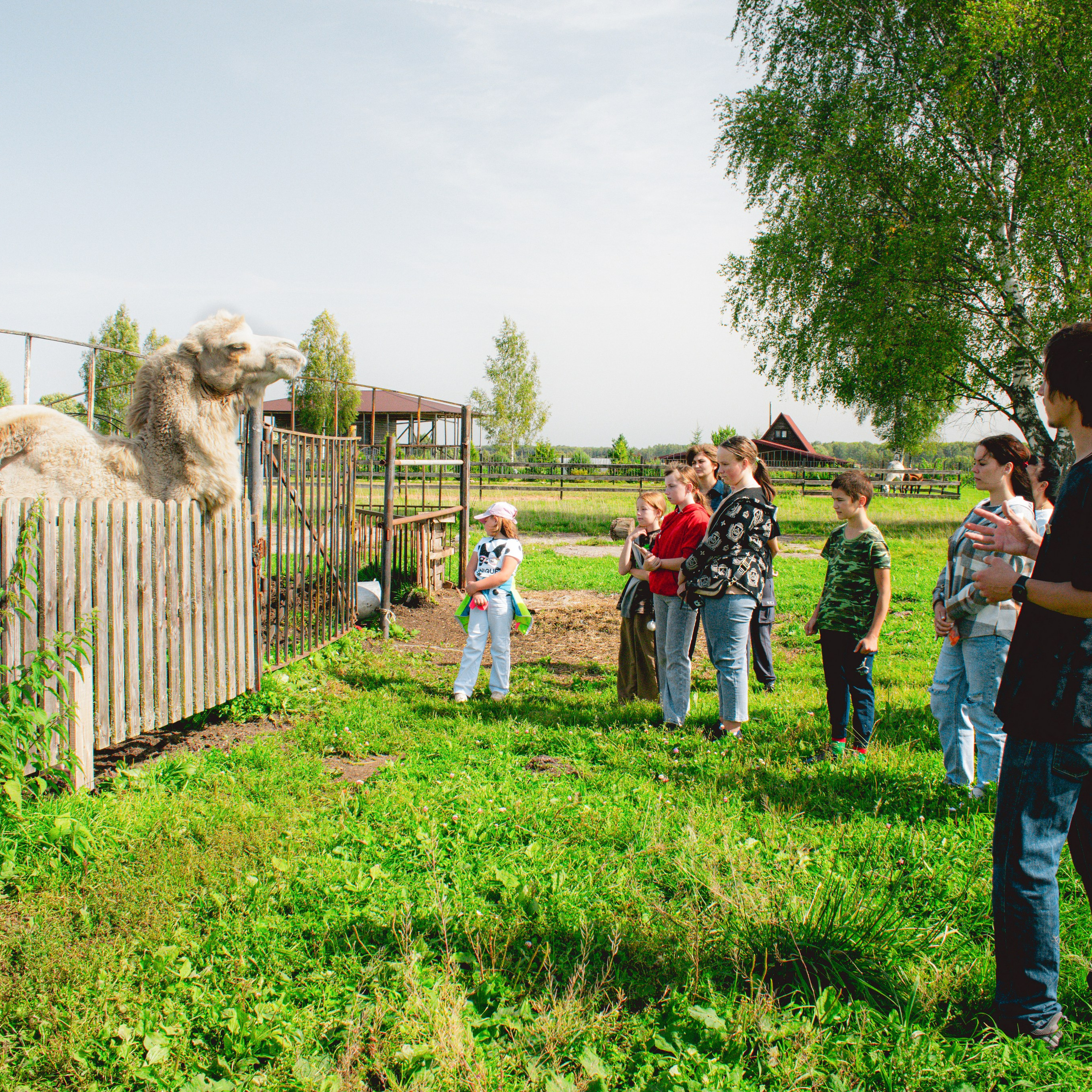 Экскурсия | ферма «Еникеево». Репортажный фотограф Даниил Чеснов | Тверь