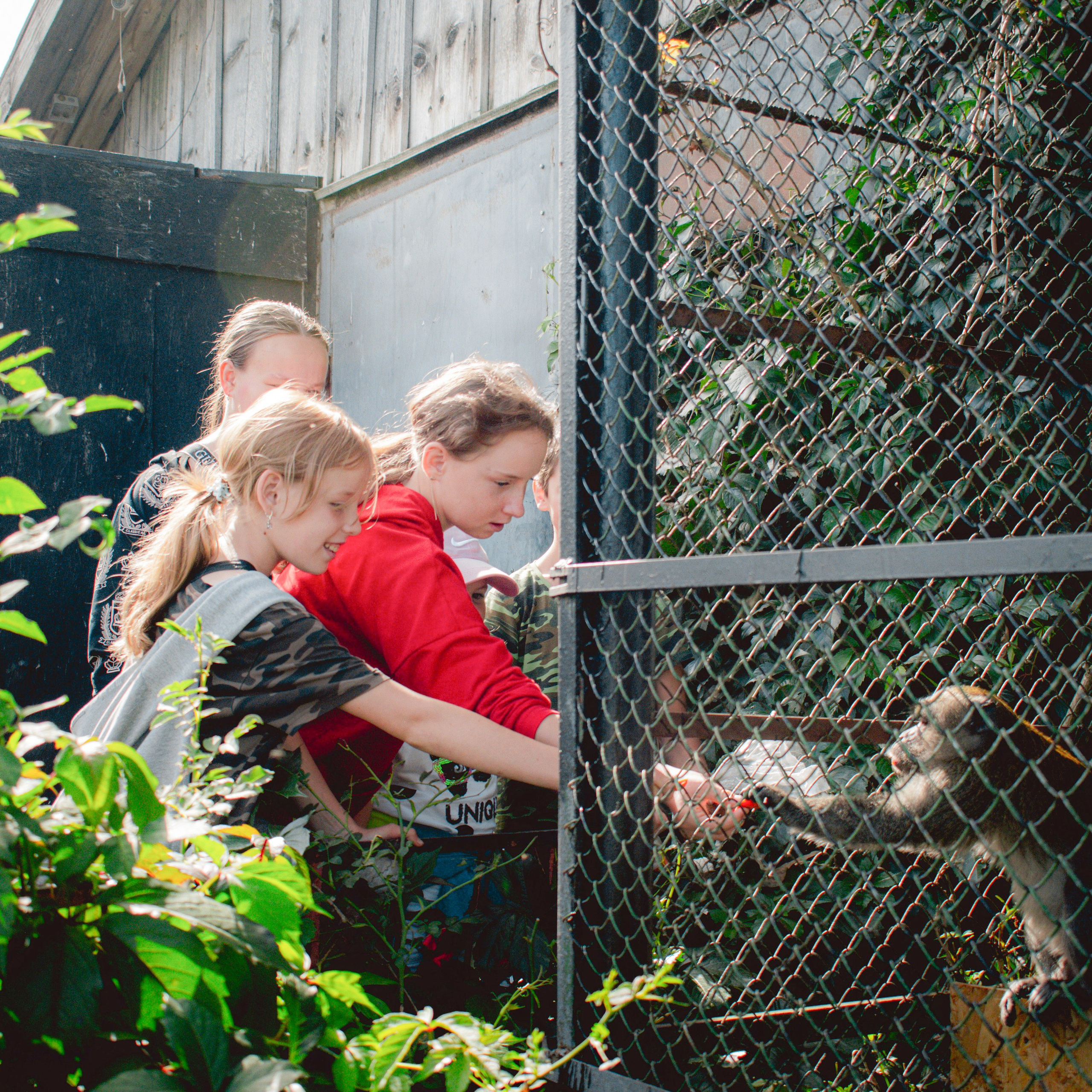 Экскурсия | ферма «Еникеево». Репортажный фотограф Даниил Чеснов | Тверь