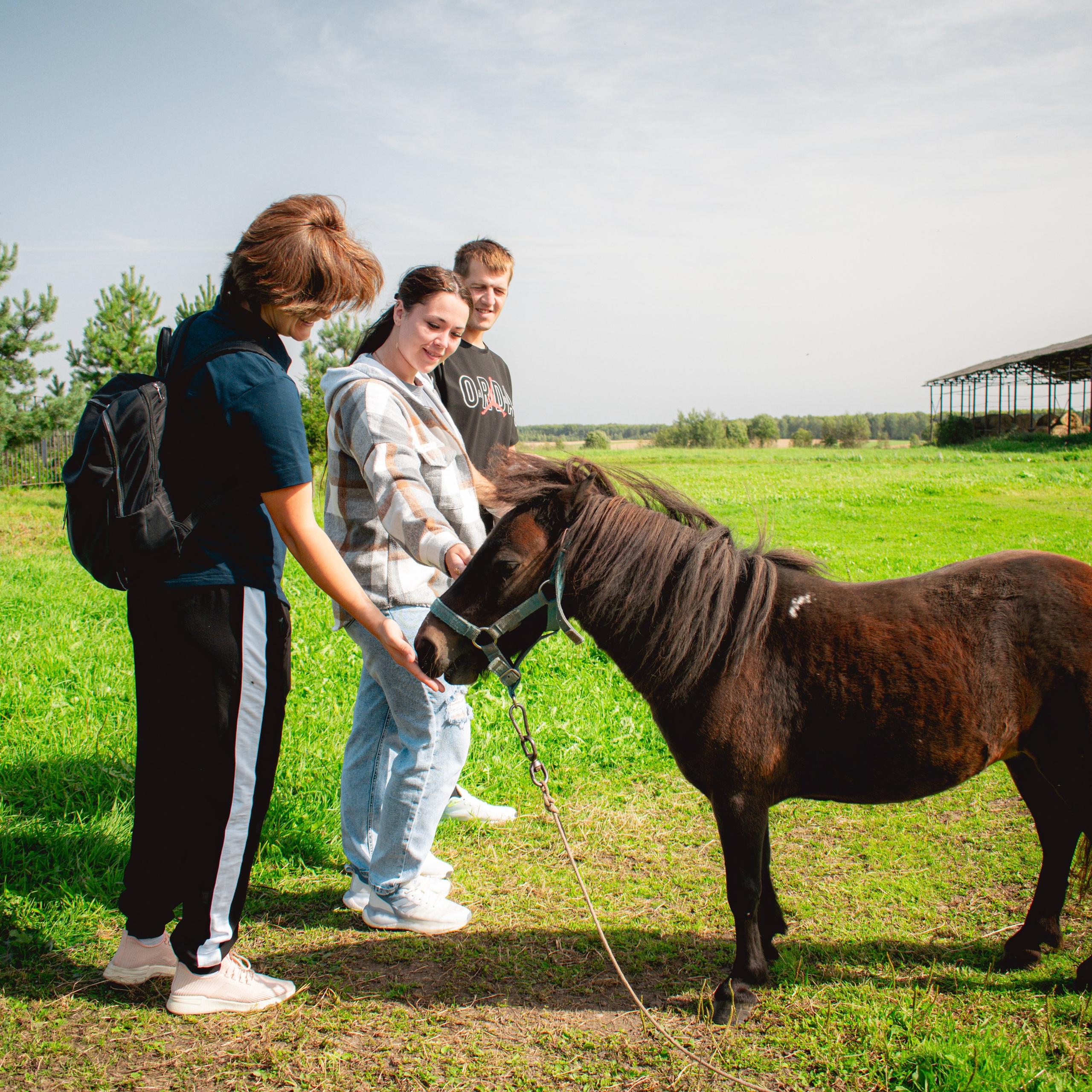Ферма «Еникеево». Репортажный фотограф Даниил Чеснов | Тверь