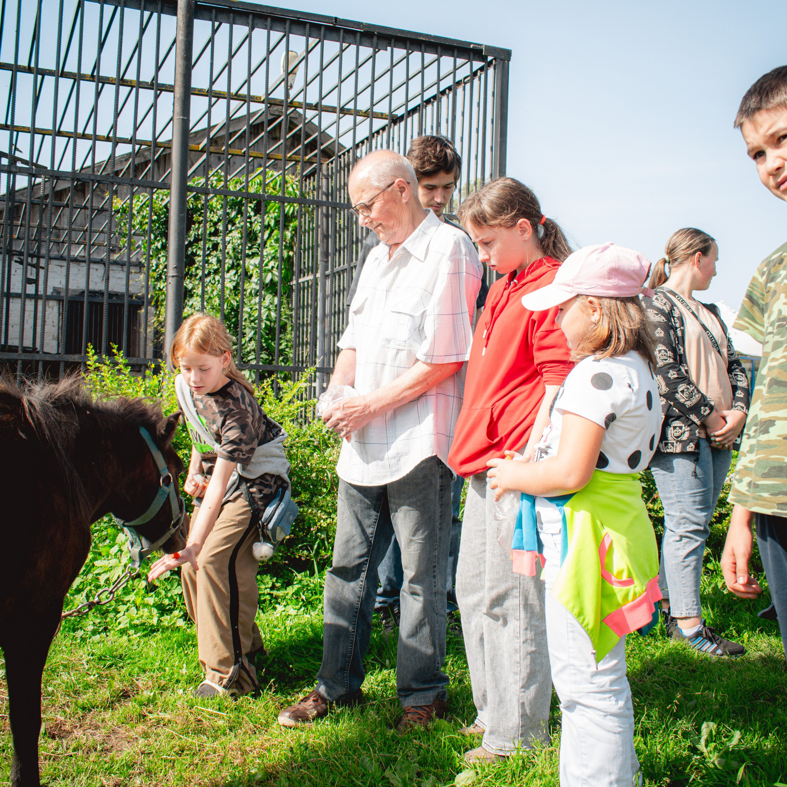 Ферма «Еникеево». Репортажный фотограф Даниил Чеснов | Тверь