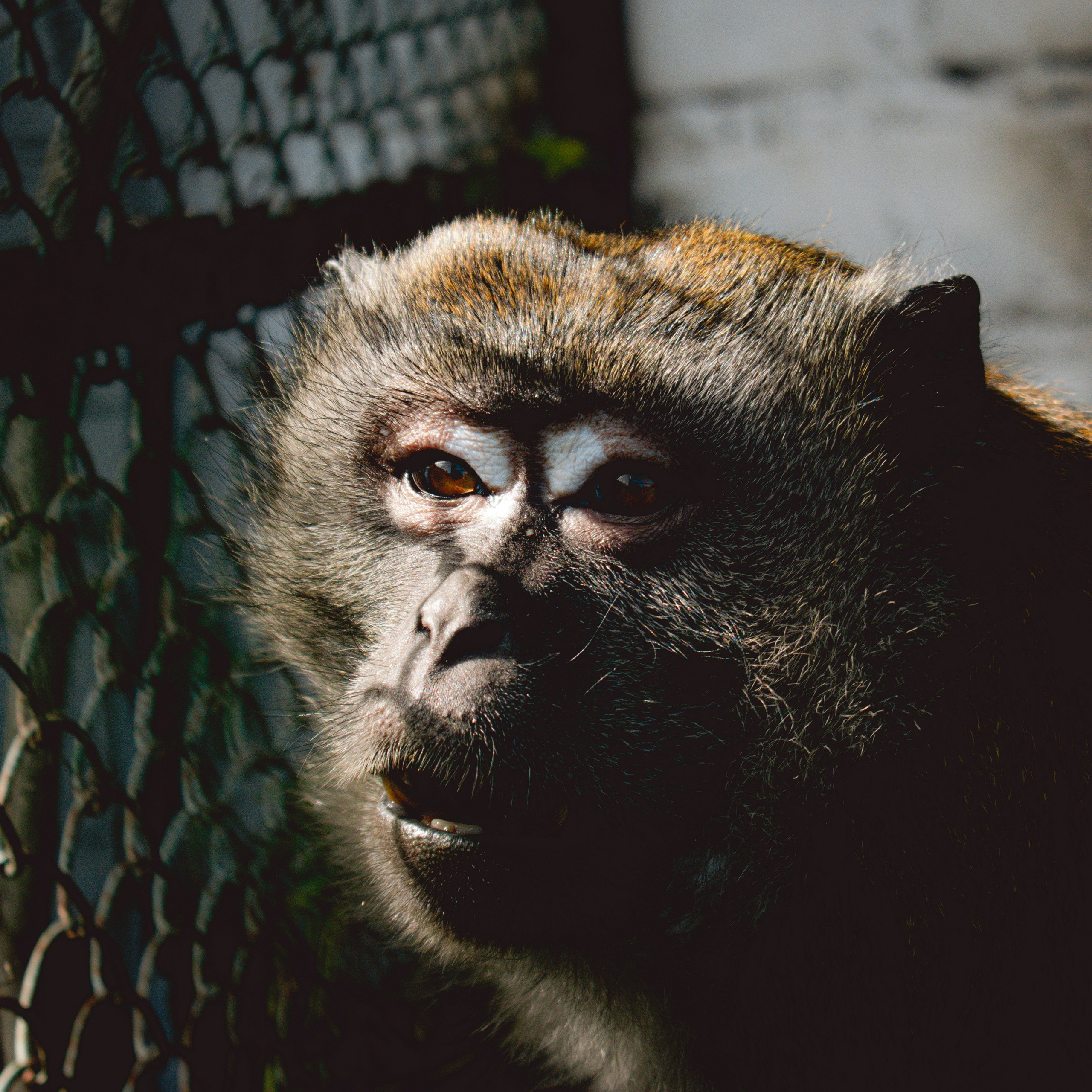 Экскурсия | ферма «Еникеево». Репортажный фотограф Даниил Чеснов | Тверь