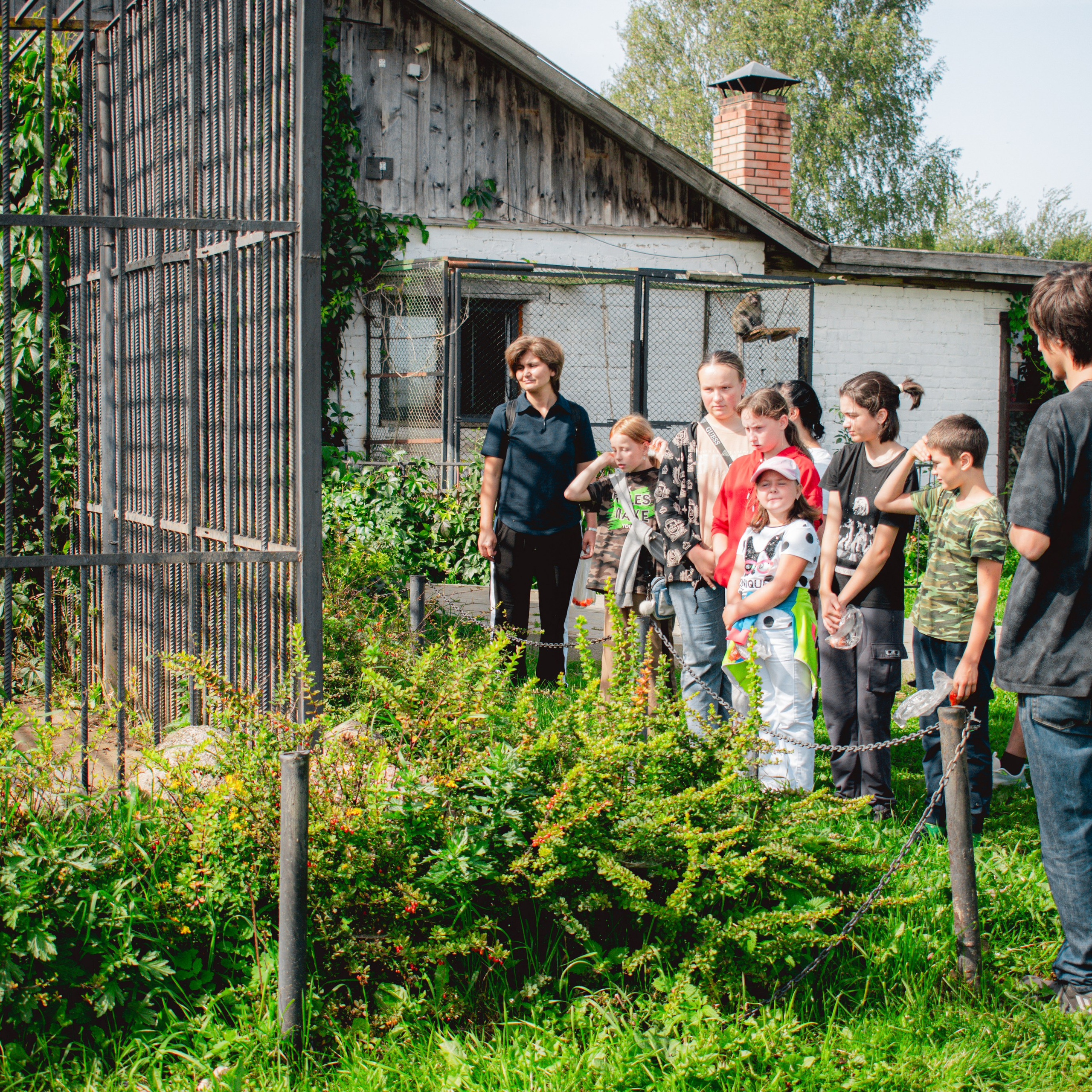 Экскурсия | ферма «Еникеево». Репортажный фотограф Даниил Чеснов | Тверь