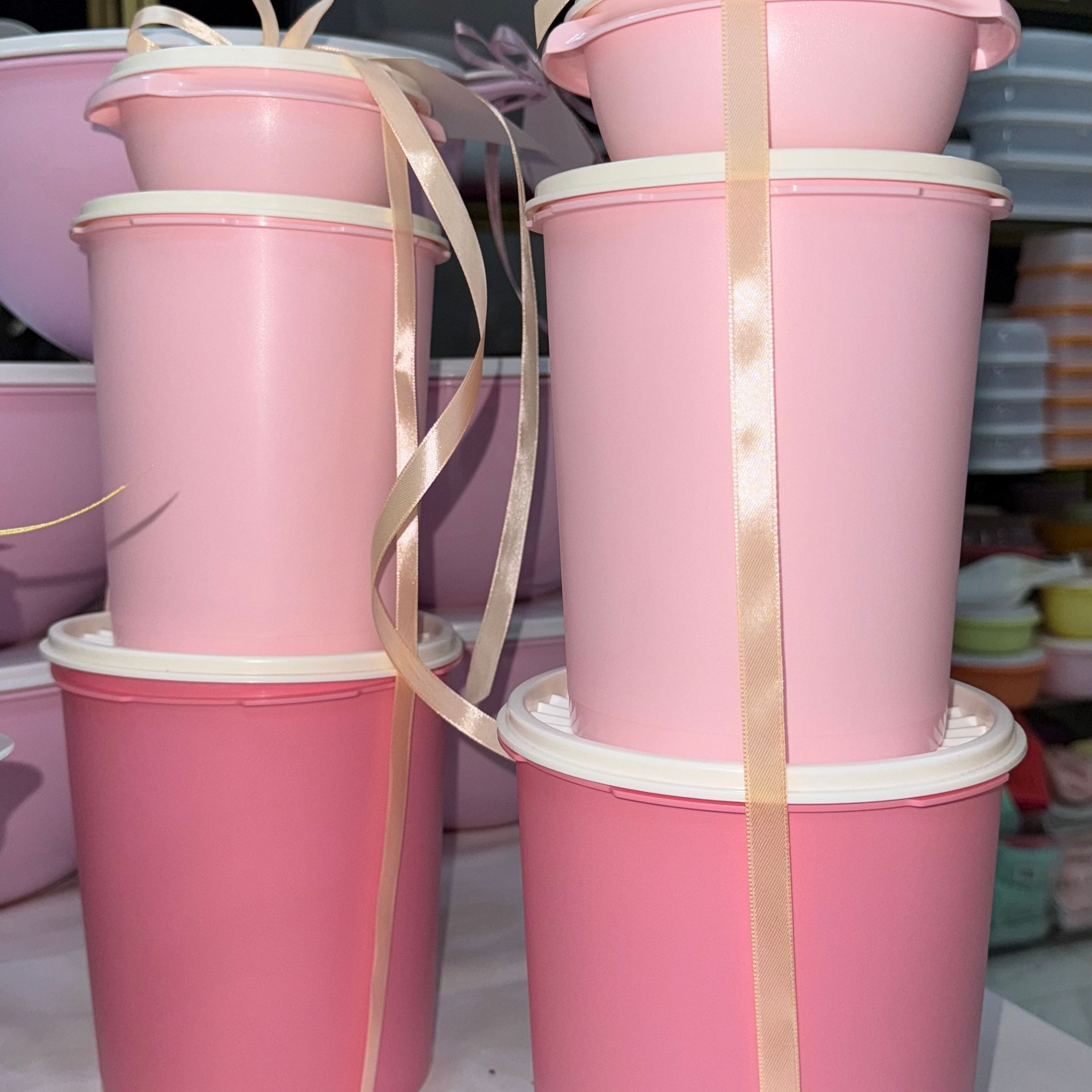 КОНТЕЙНЕРЫ. Tupperware Mollaeva