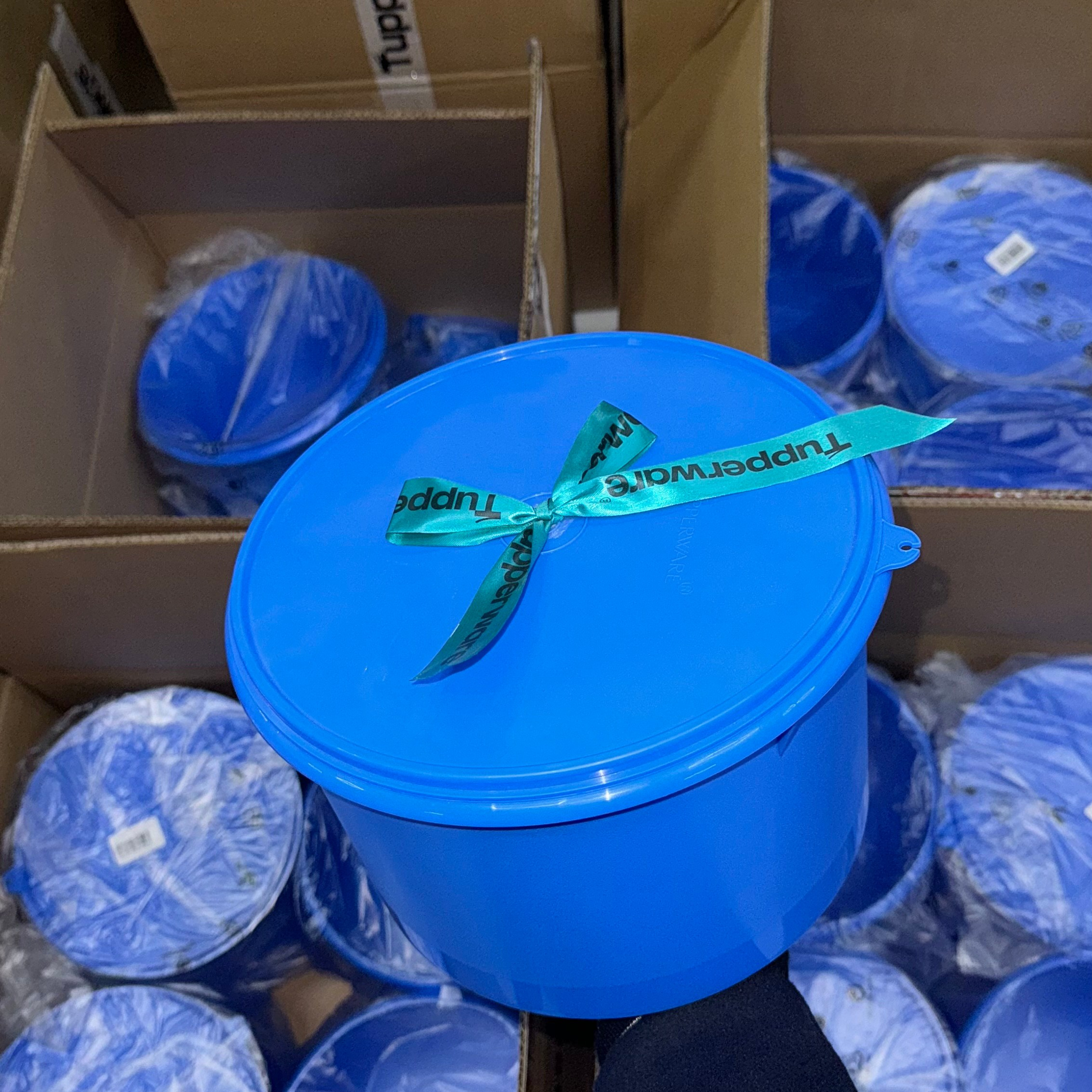 КОНТЕЙНЕРЫ. Tupperware Mollaeva