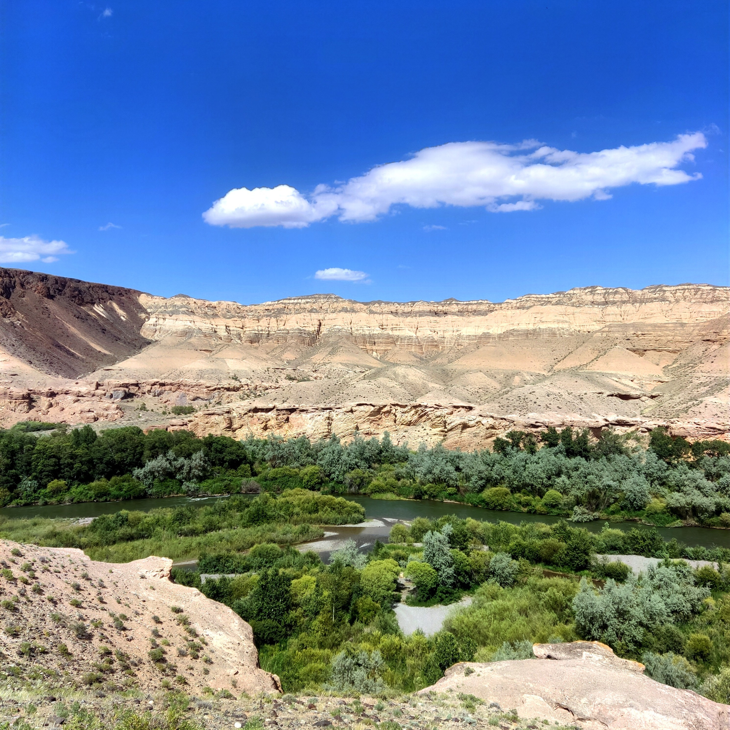 Пейзаж Лунного каньона с видом на извилистую реку Чарын, окруженную густыми зелеными деревьями и кустарником. На заднем плане возвышаются пустынные скалистые горы светлого оттенка. Над ними раскинулось ярко-голубое небо с белыми облаками, создавая атмосферу спокойствия и простора. На переднем плане виден пологий склон с растительностью.