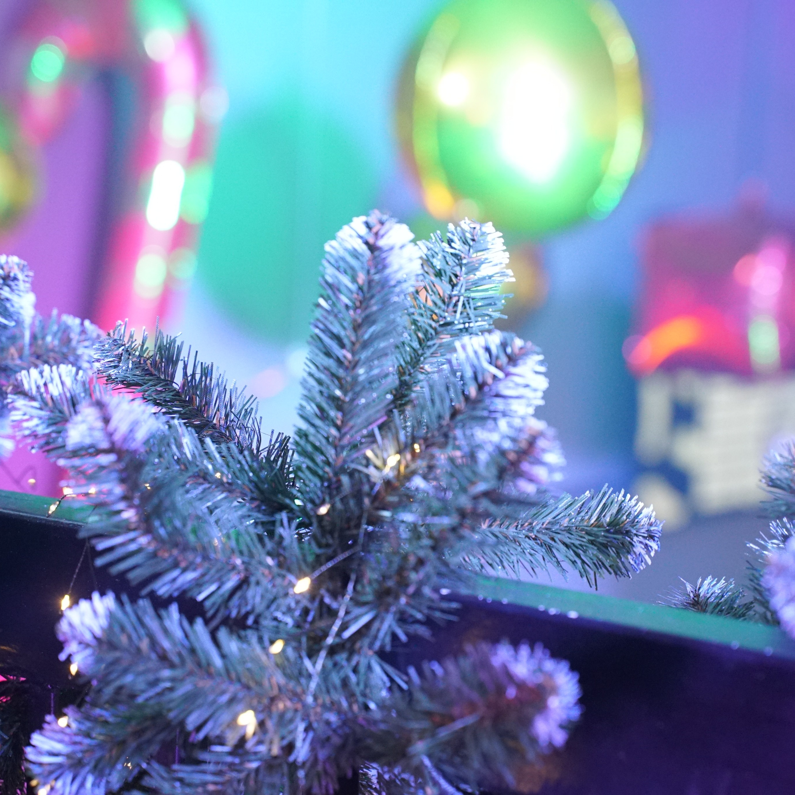 День рождения Екатерины. Mariage