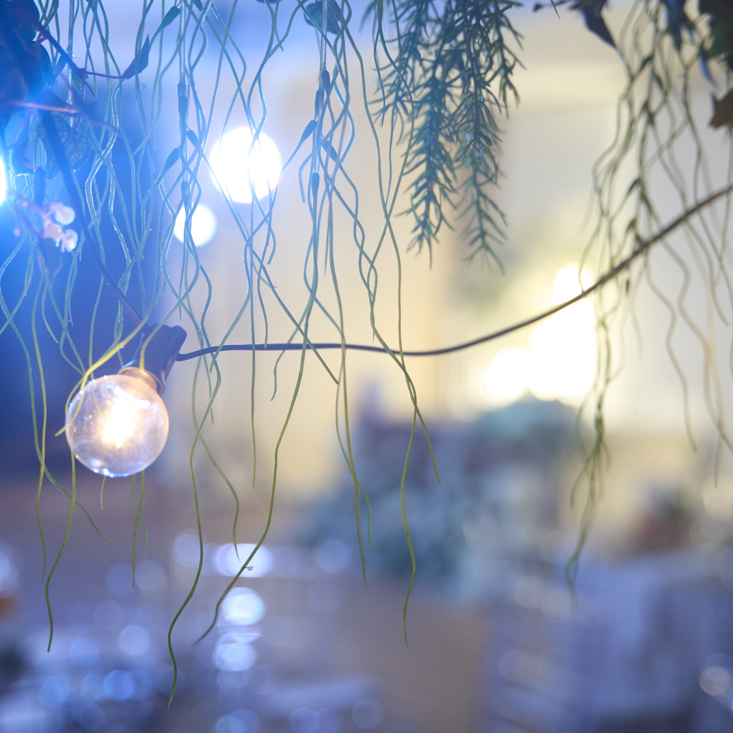 Никита & Елизавета. Mariage