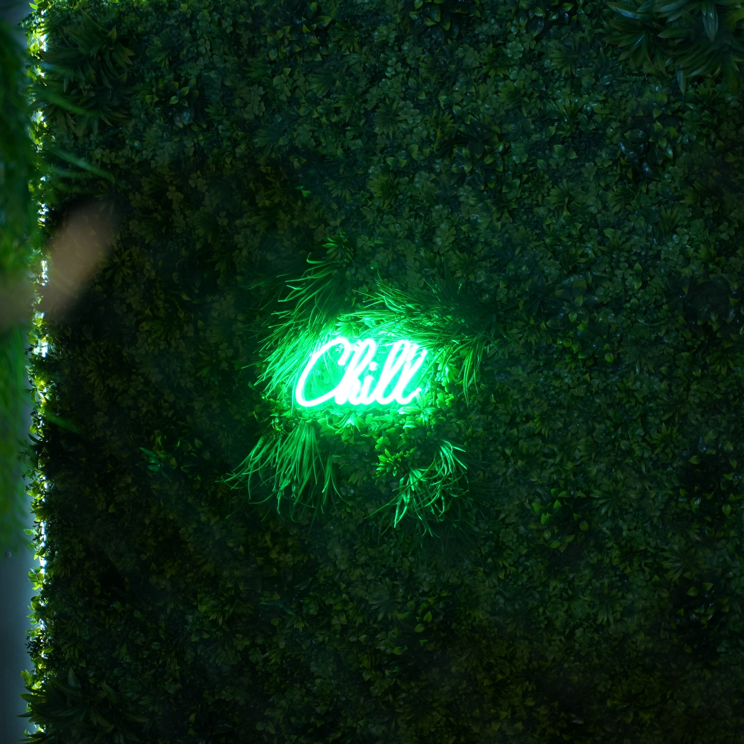 Корпоратив АН Сфера. Mariage