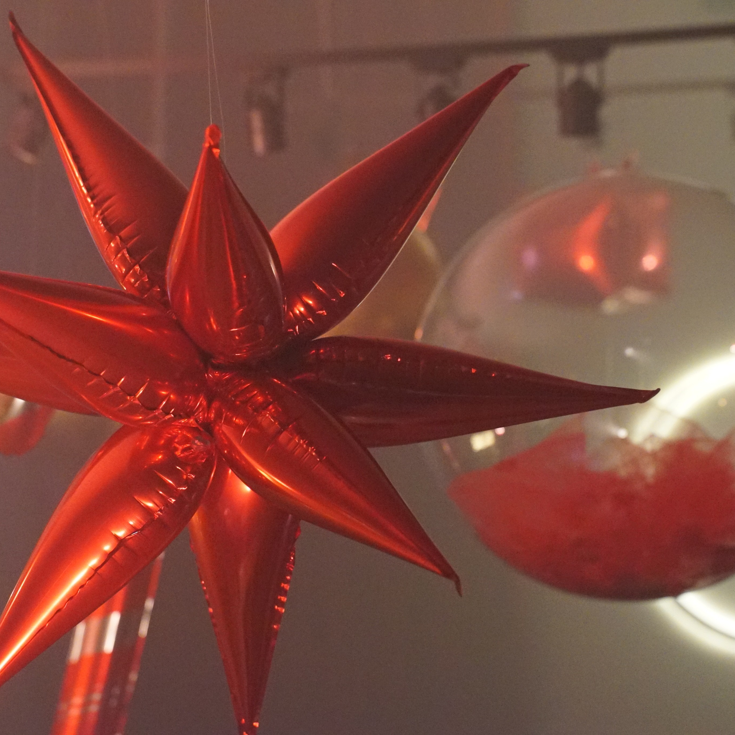 День рождения Екатерины. Mariage