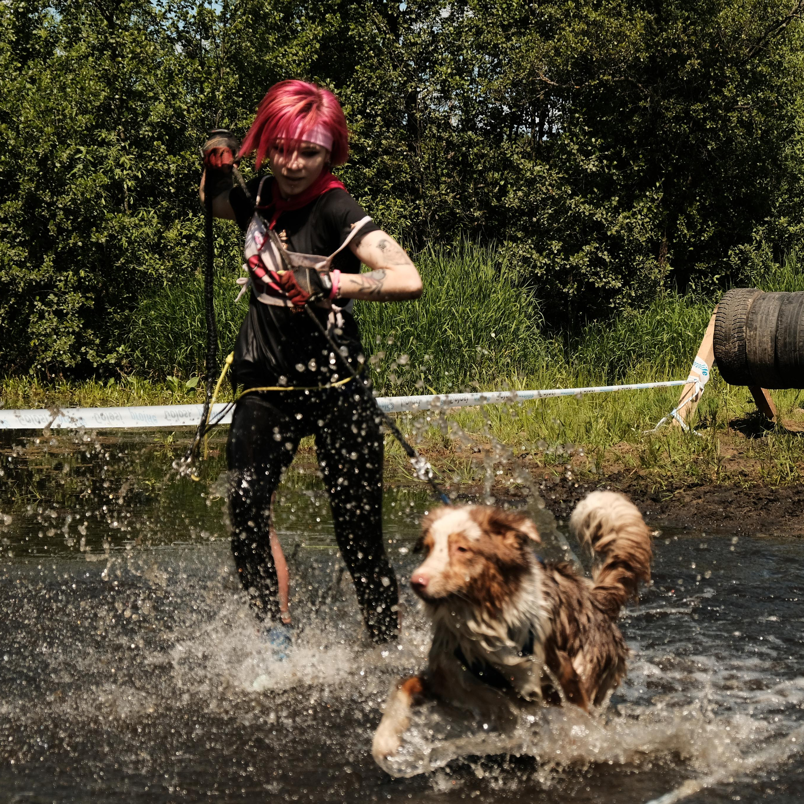 Хвостатый драйв 2023