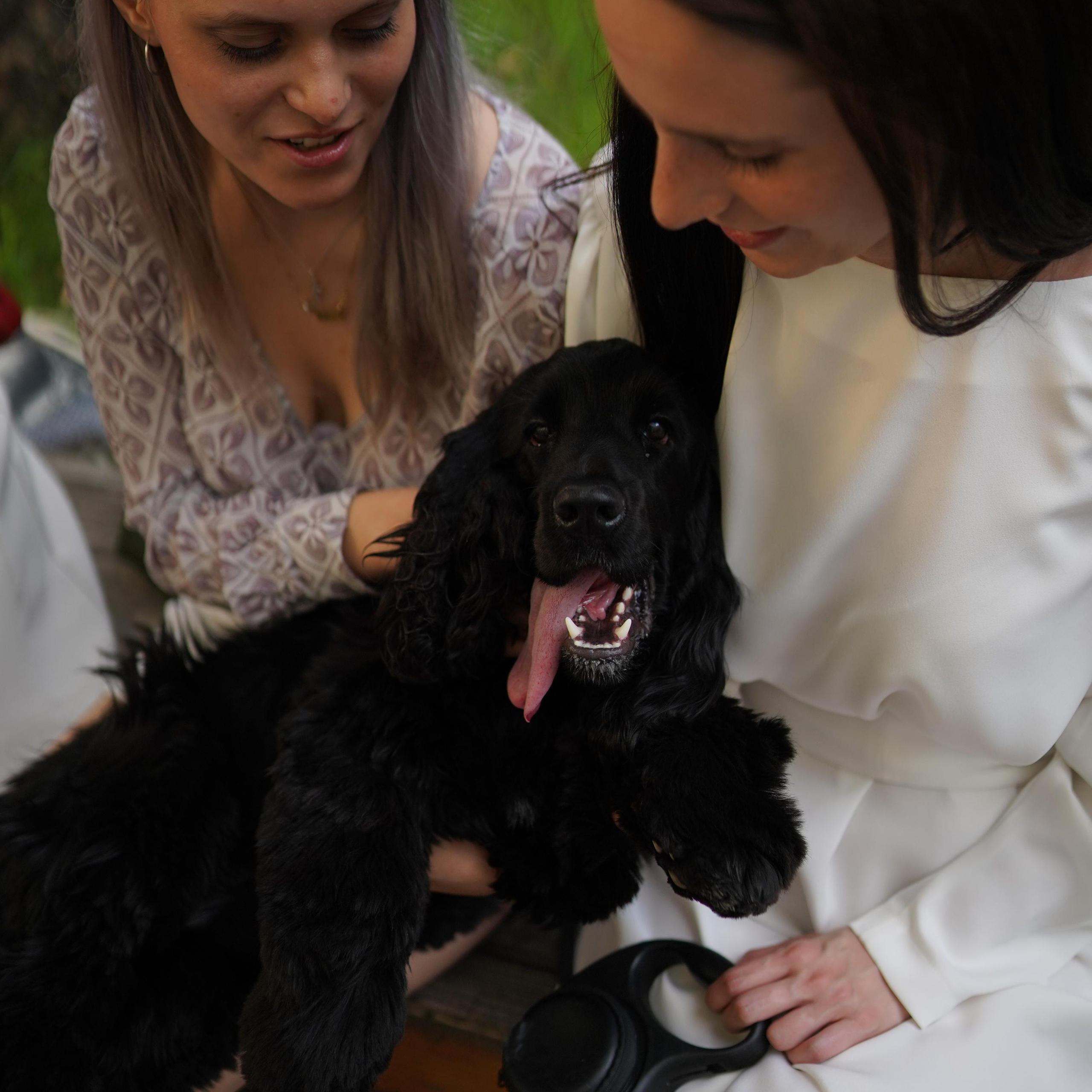 Отзывы. Фотограф Москва, Зуянова Александра