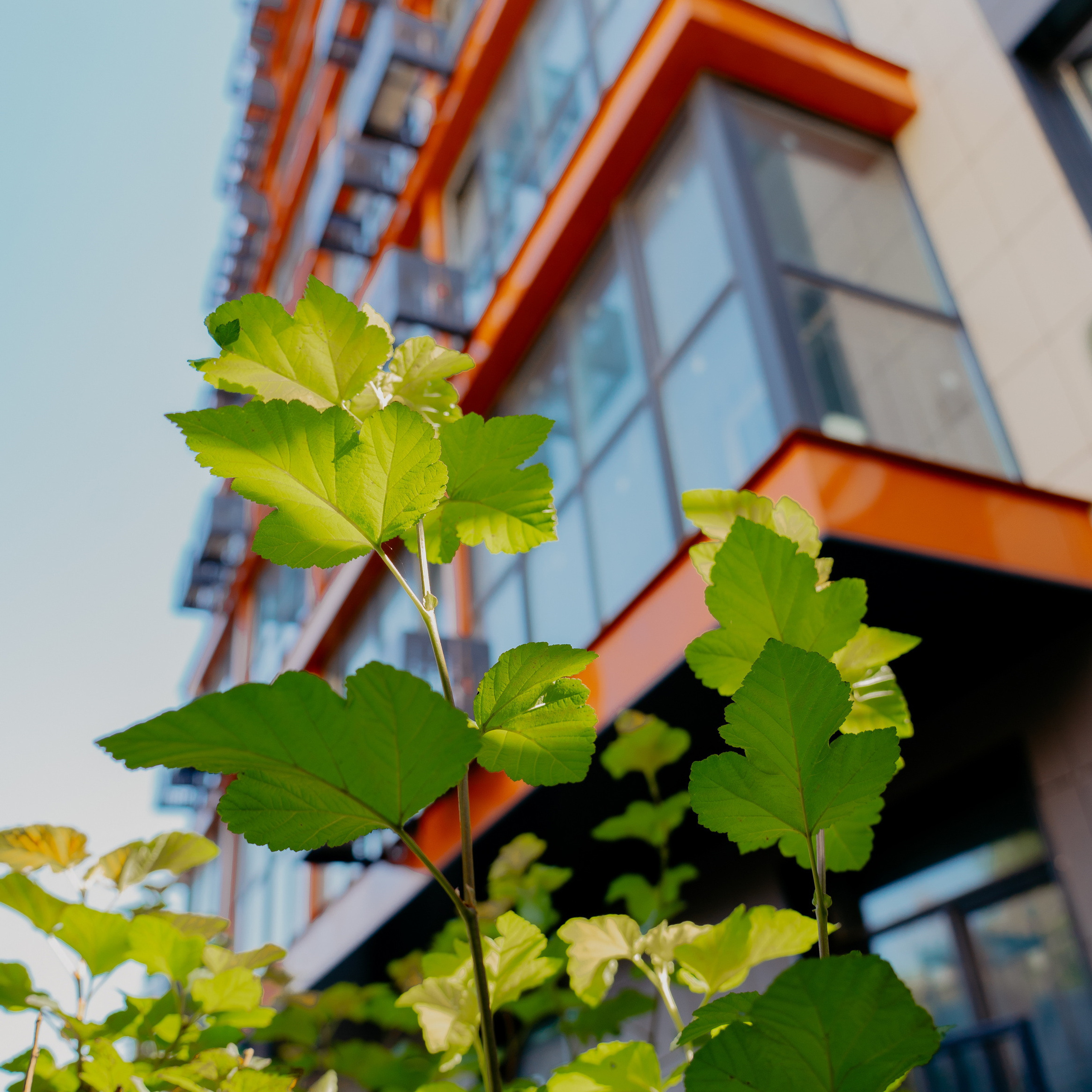 Отзывы. Сайт временно находится на реконструкции