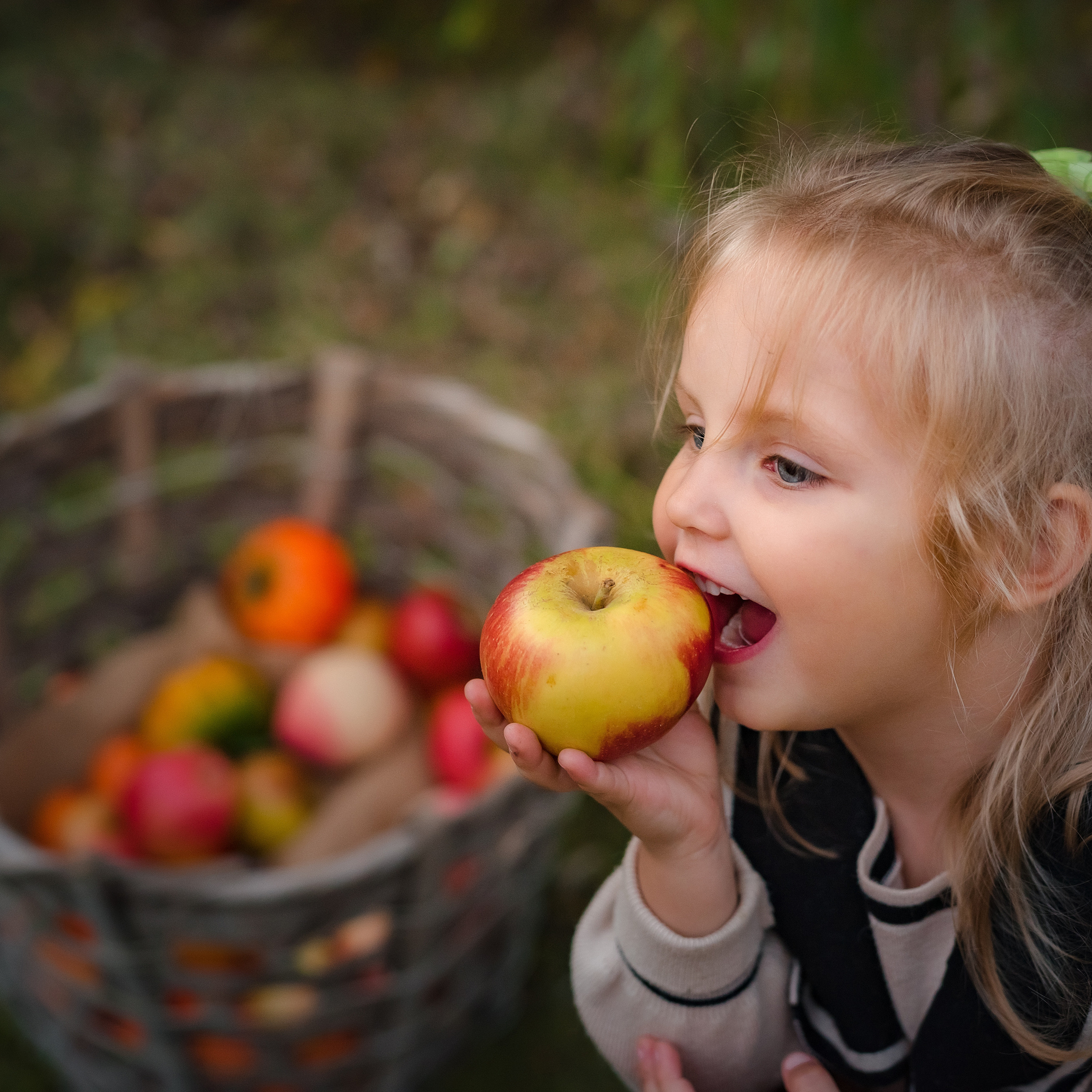 Отзывы. Сайт временно находится на реконструкции