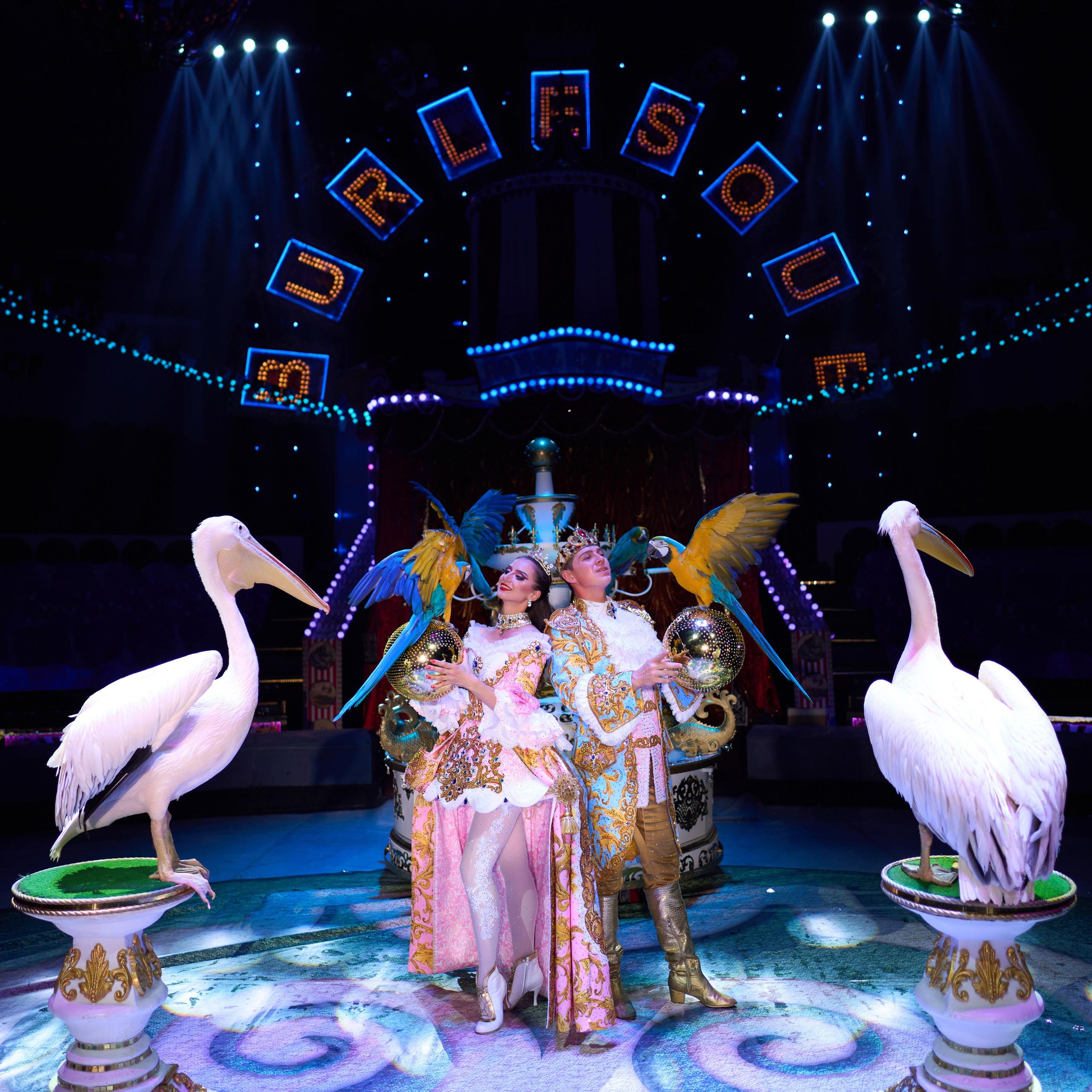 Дарья и Владимир Лекаревы