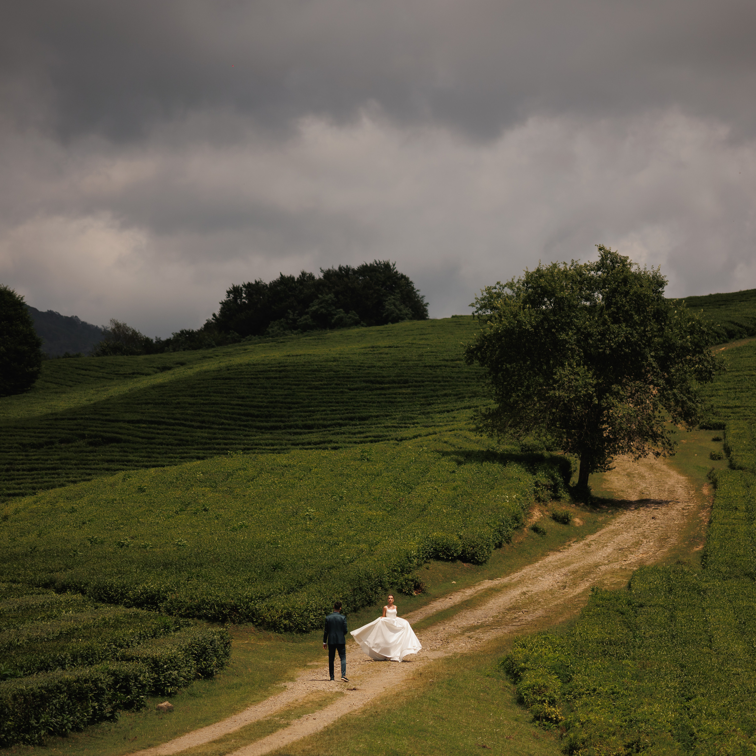 Отзывы о фотографе Денис Вялов. Свадебный и семейный фотограф в Сочи Денис Вялов